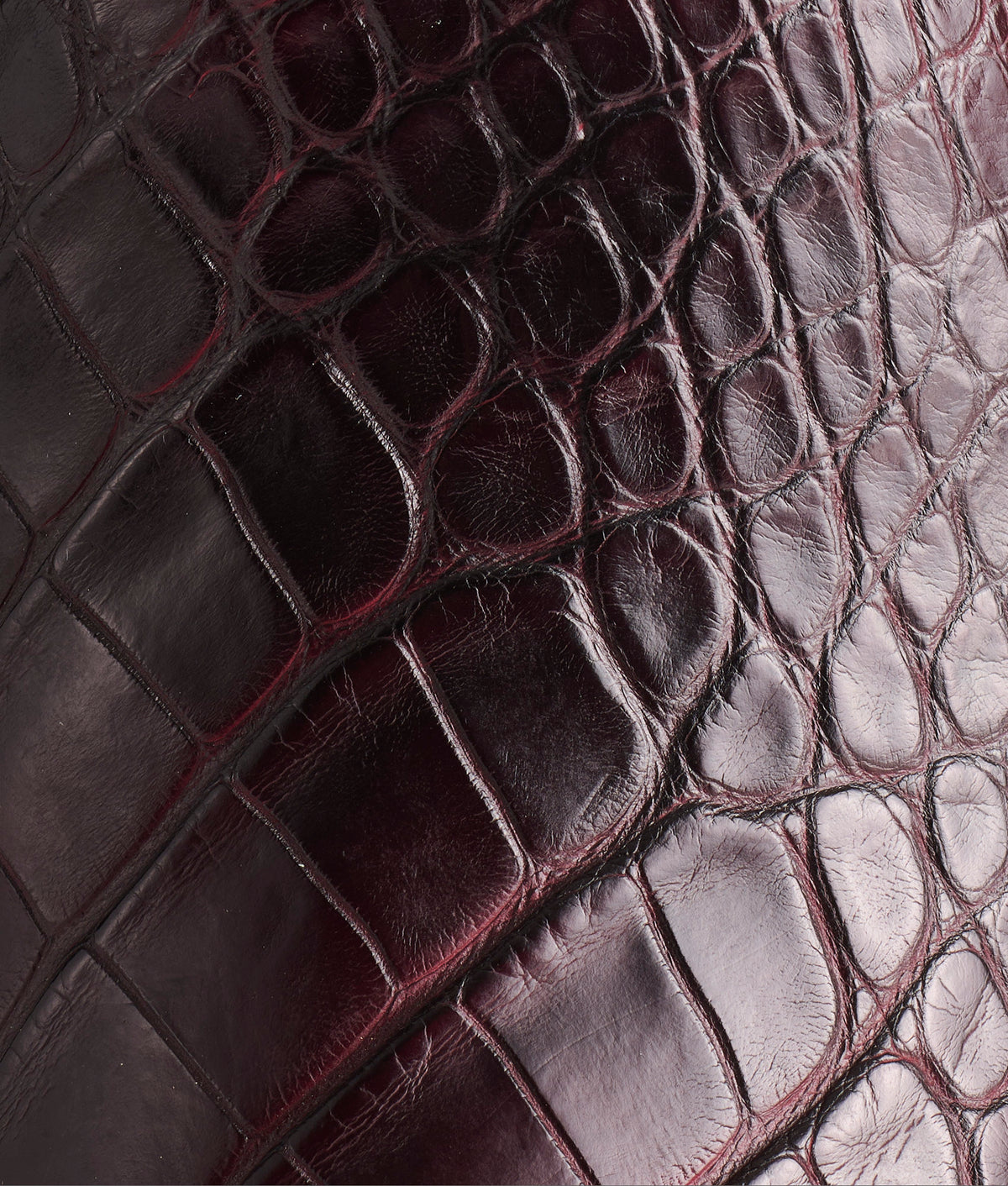 Baron :: Black Cherry 8