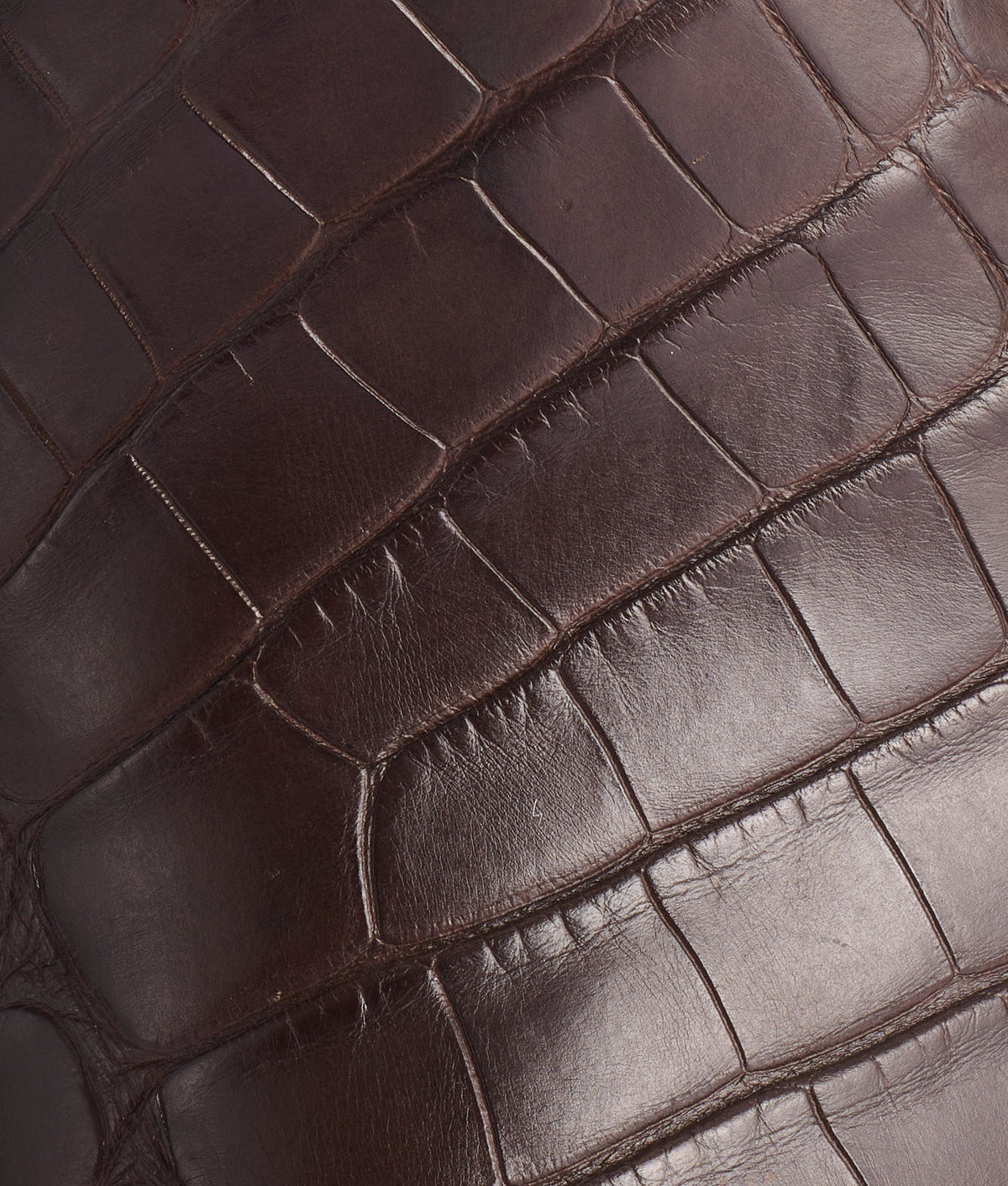 Forde :: Chocolate 8