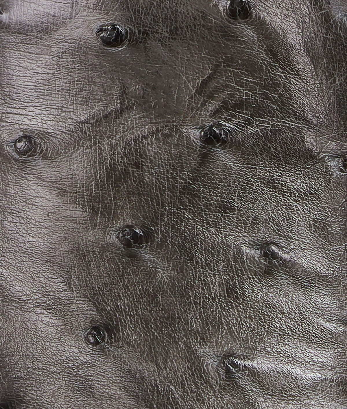 Bexar :: Anthracite Grey 8