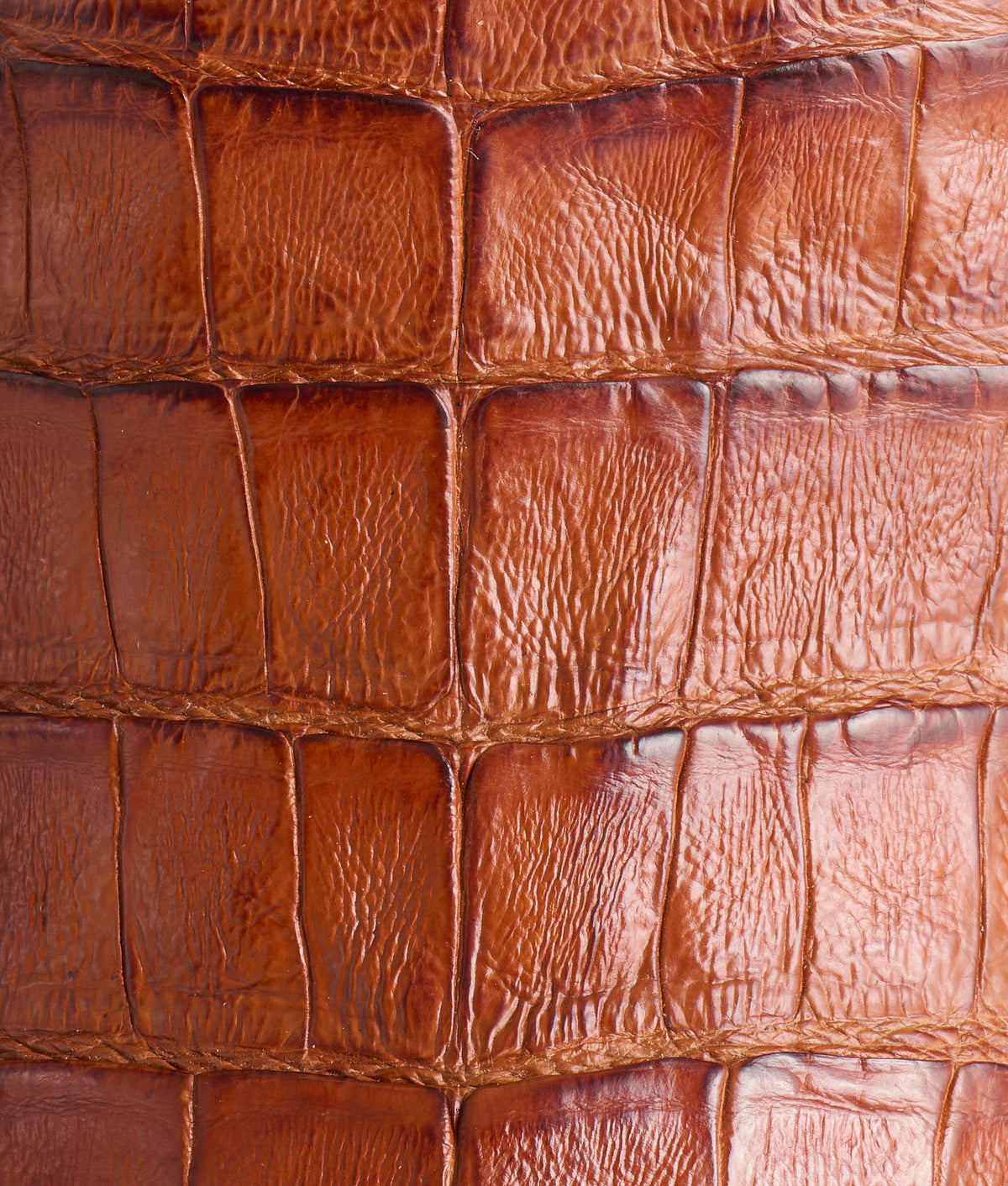 Jones :: Cognac 8
