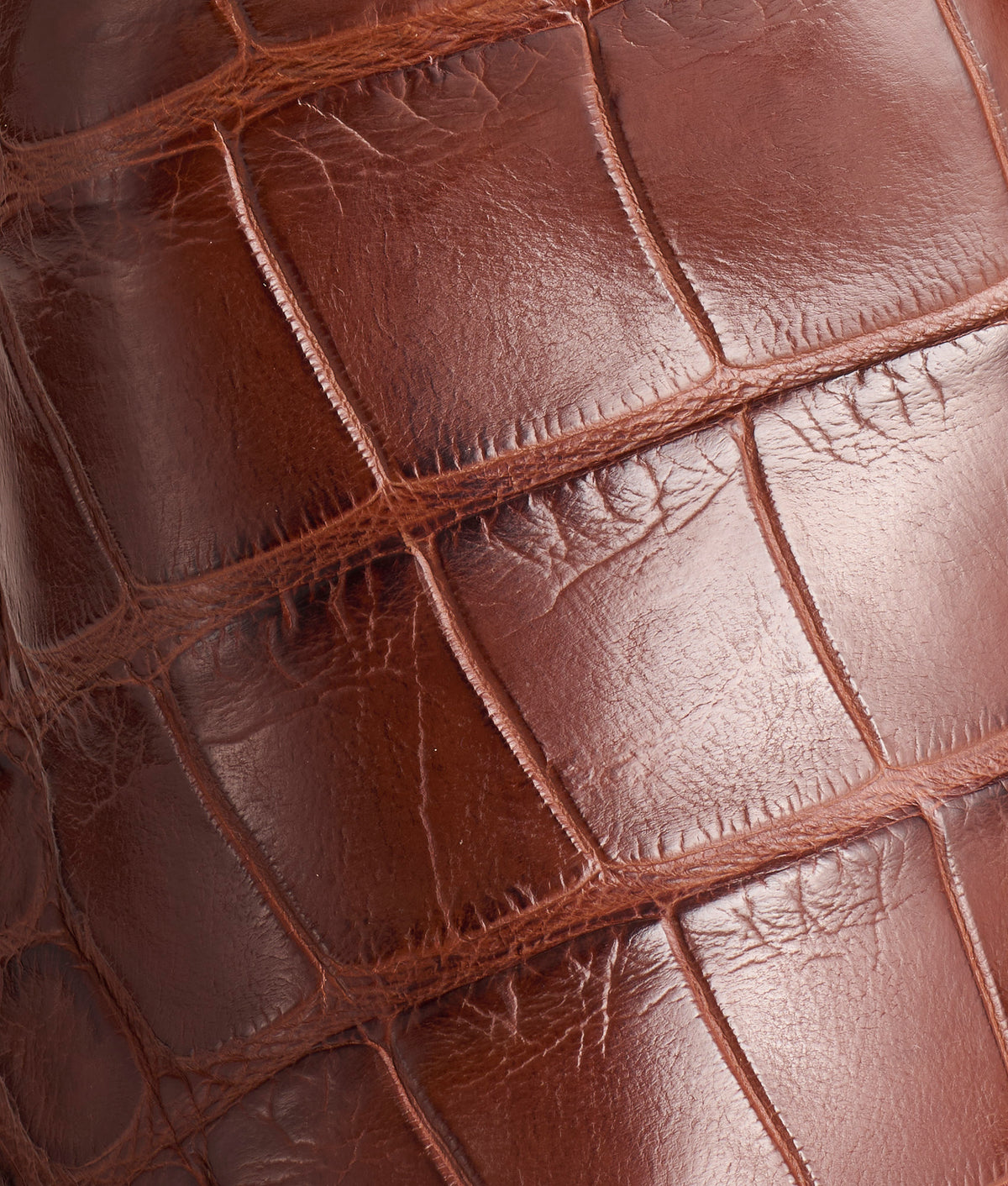 Mission :: Chocolate 8