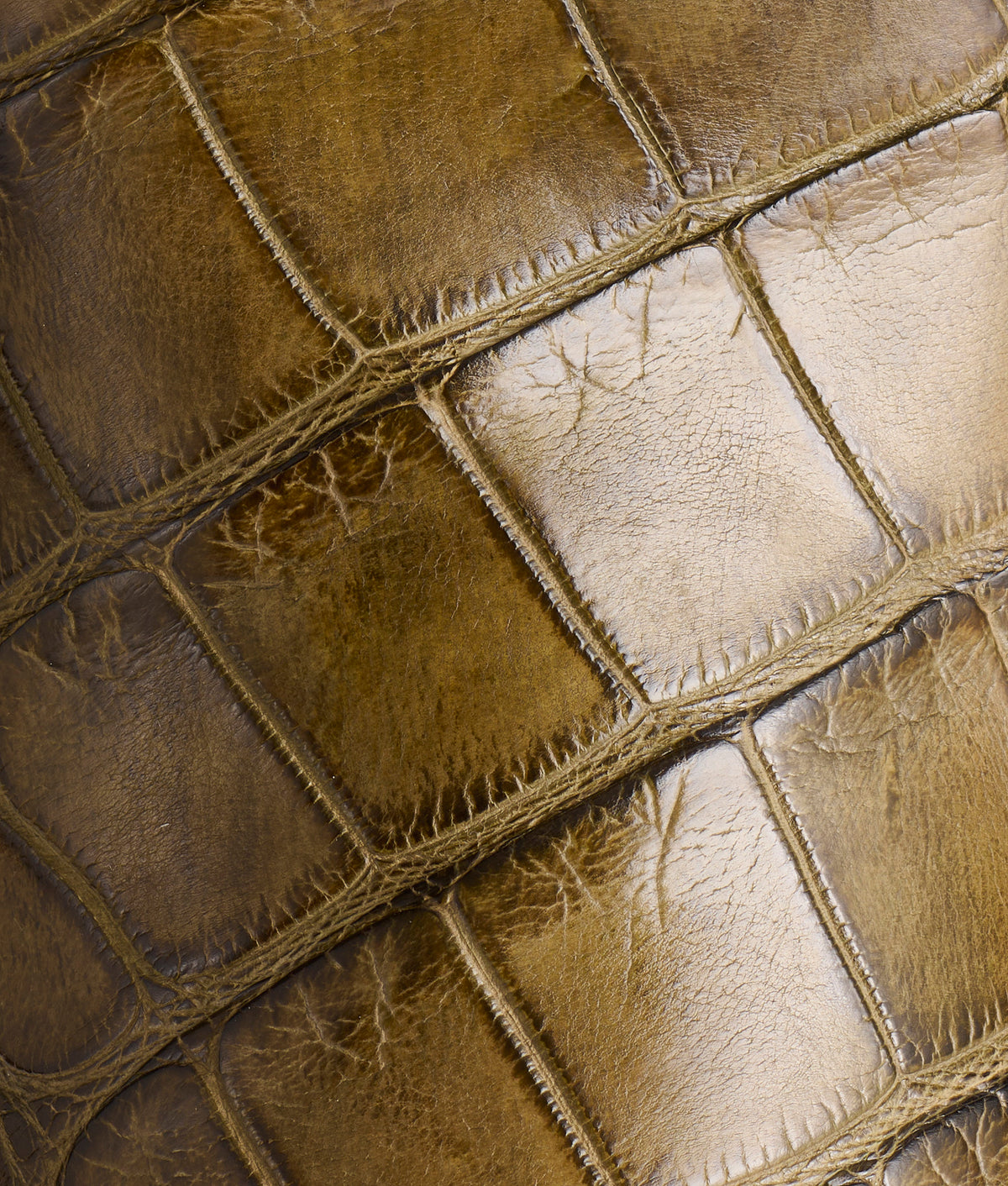 Mission :: Moss Green 10