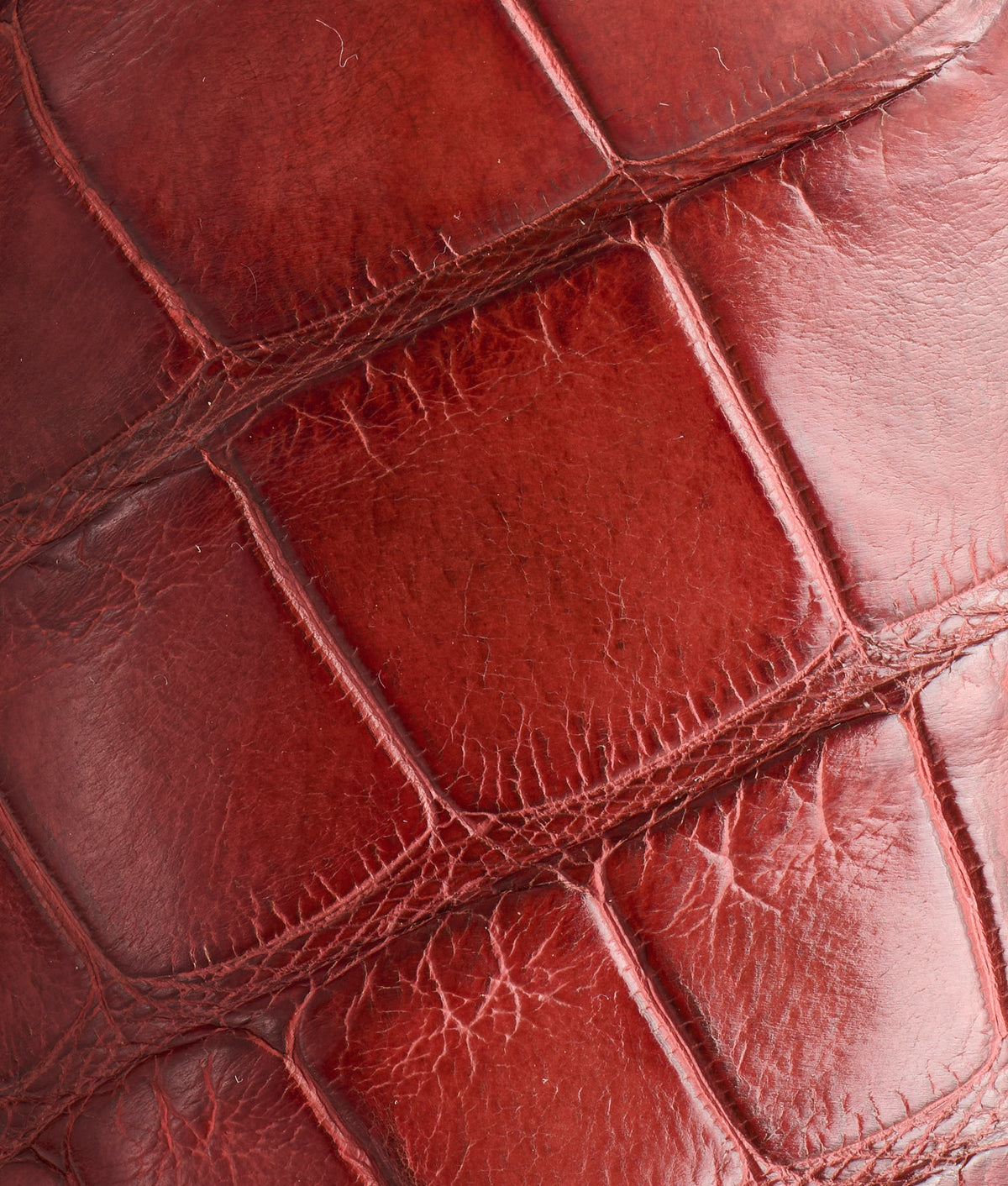 Hat Tipper :: Almond 10