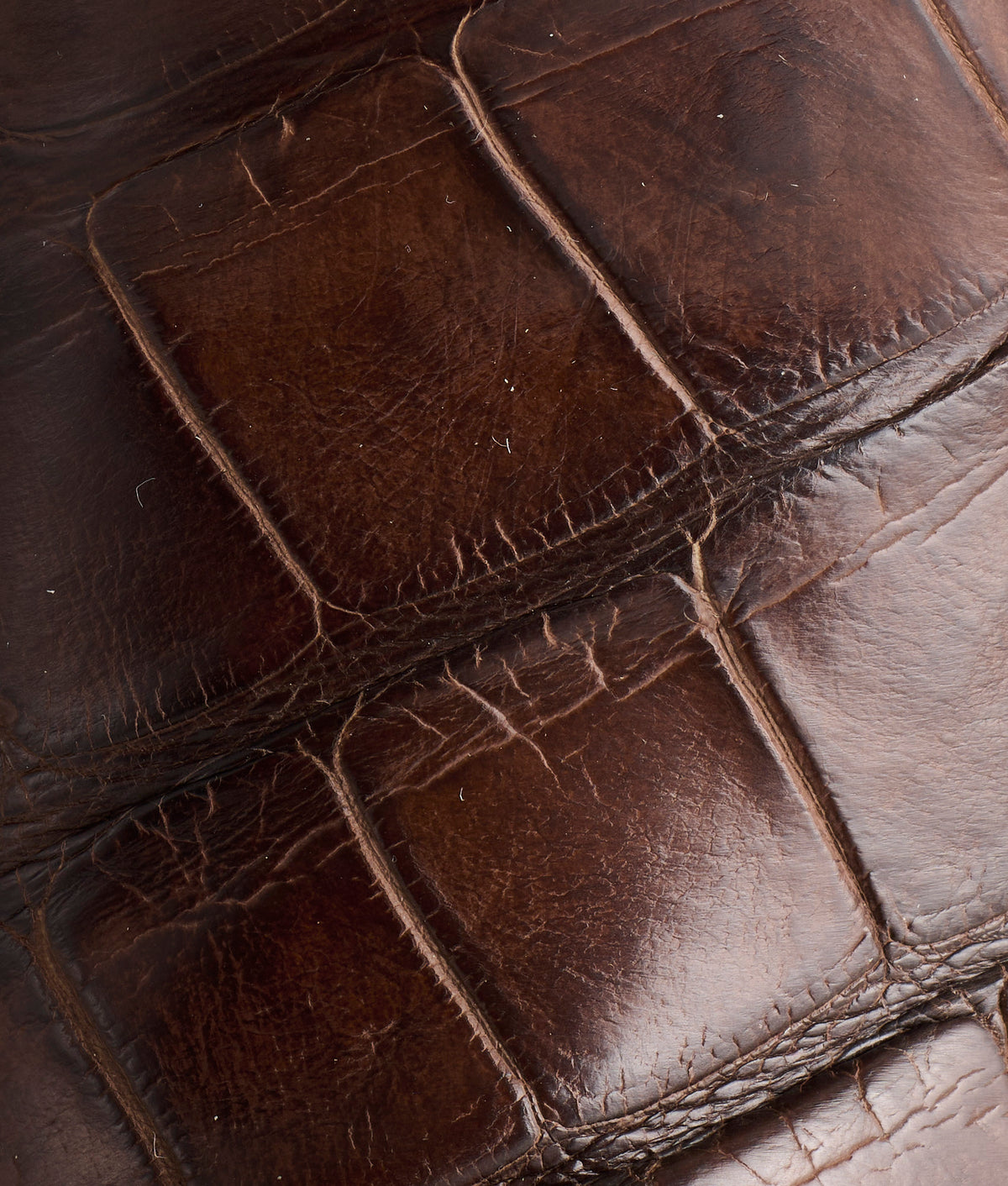 Hat Tipper :: Chocolate 10