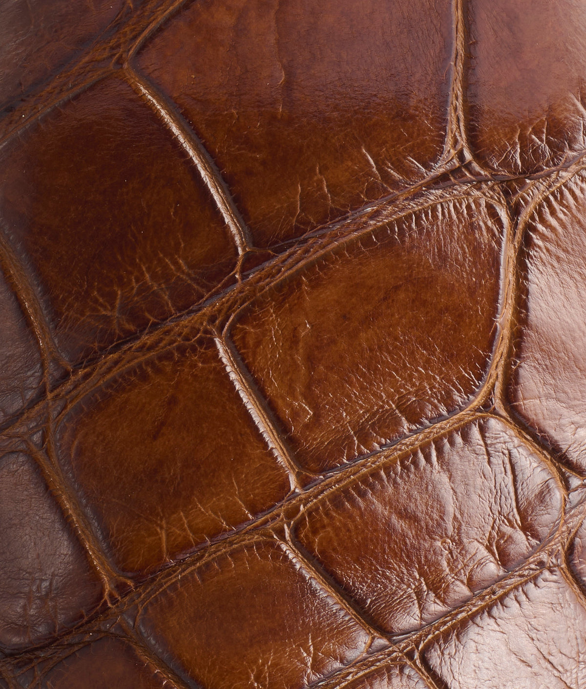 Naples, Texas :: Walnut 7