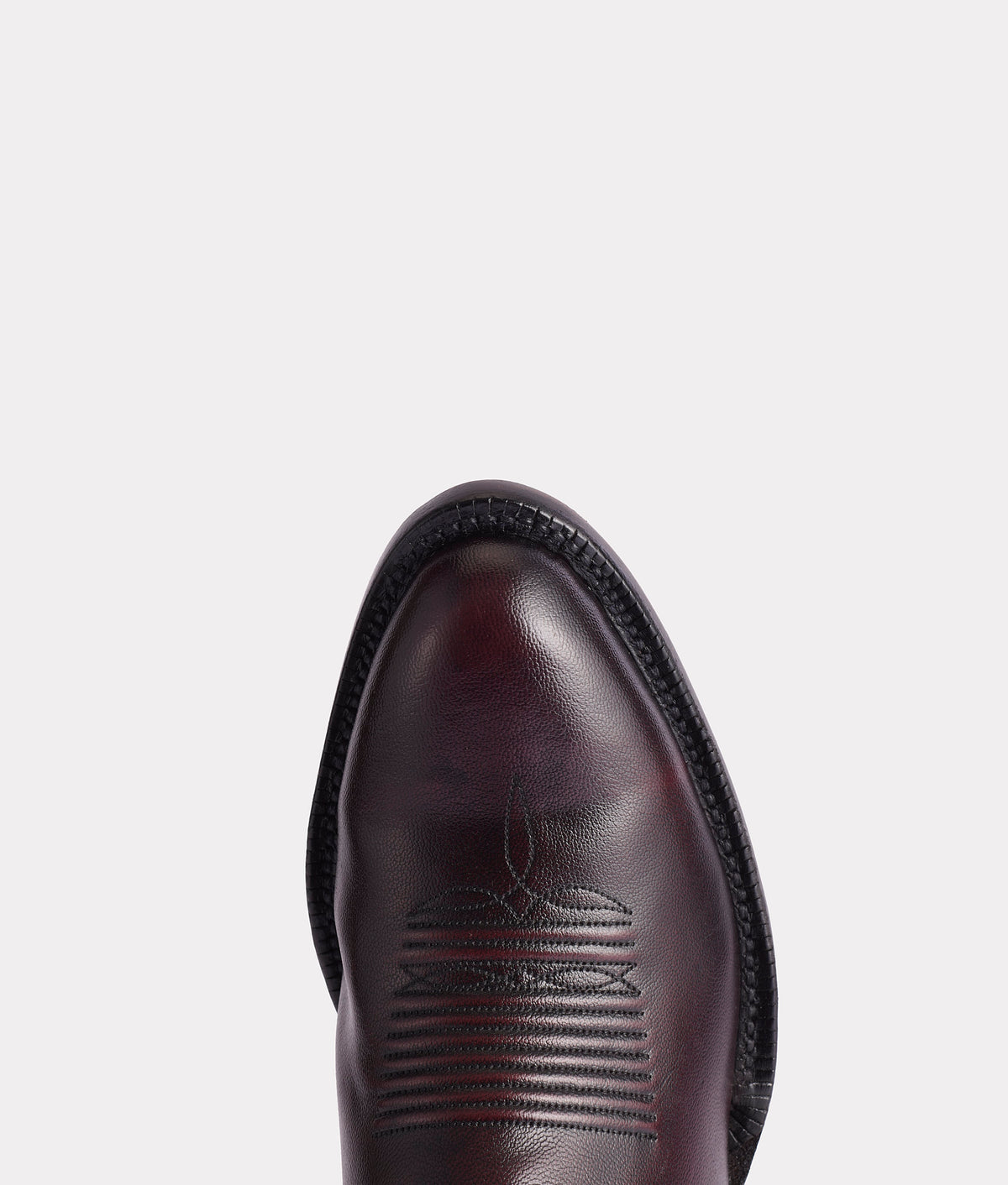 Gavin :: Black Cherry 7
