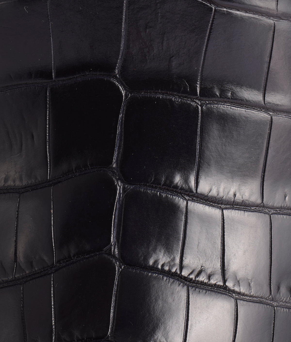 Nobleman :: Black 8