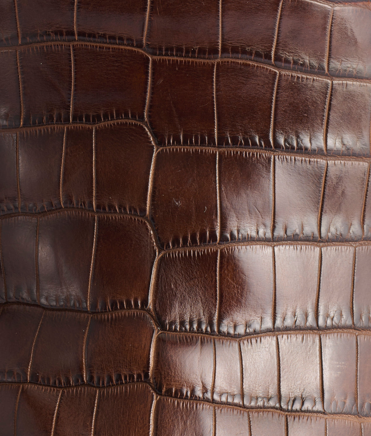Nobleman :: Chocolate 8
