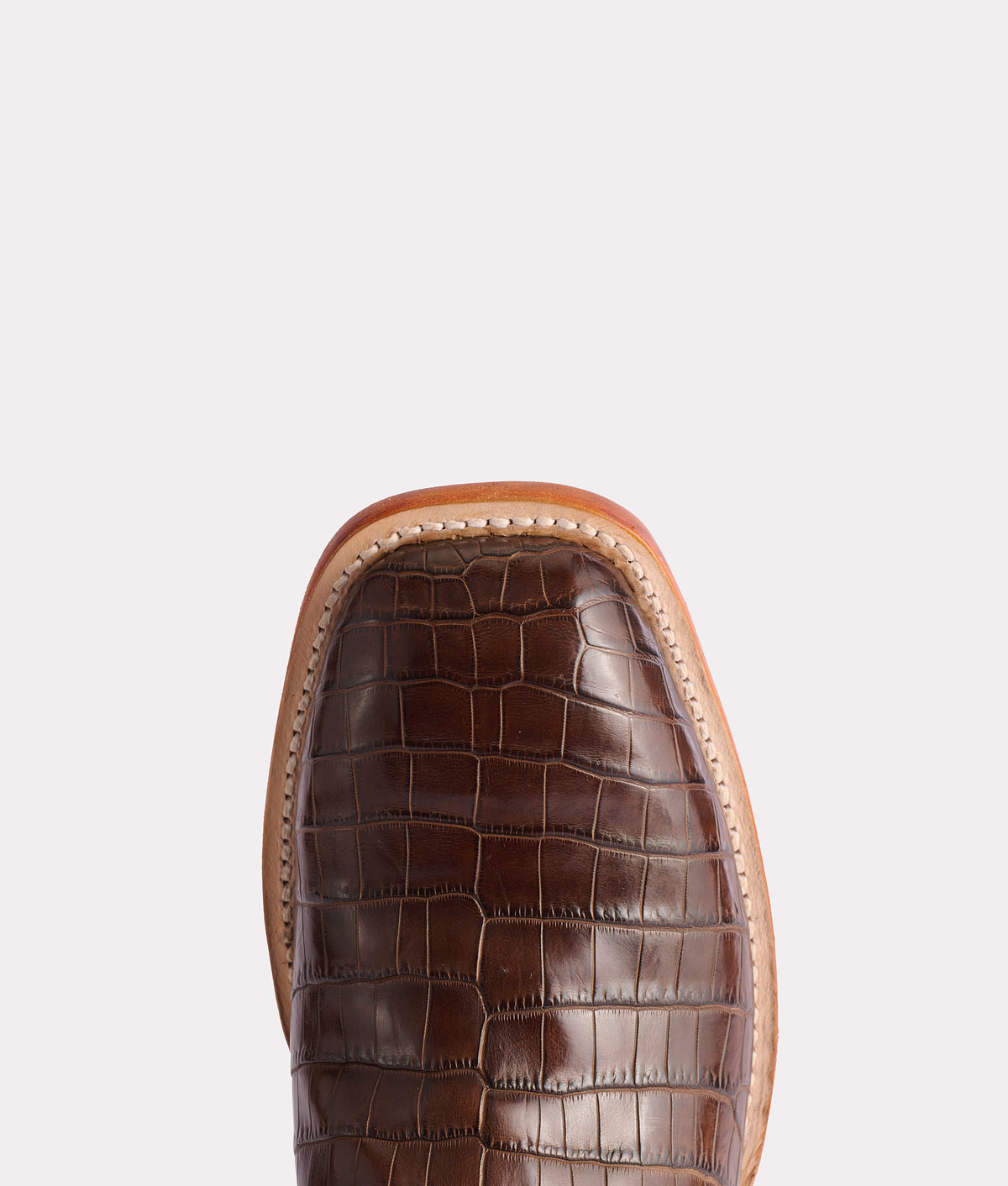 Nobleman :: Chocolate 7