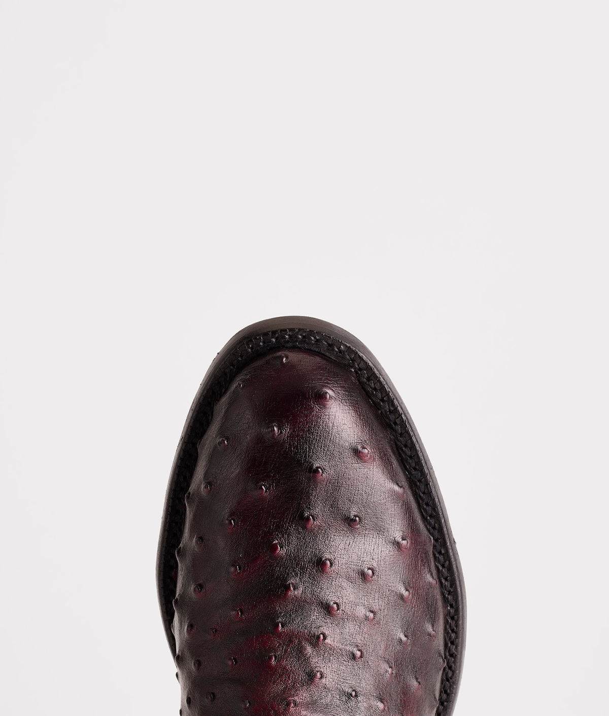 Augustus :: Black Cherry 8