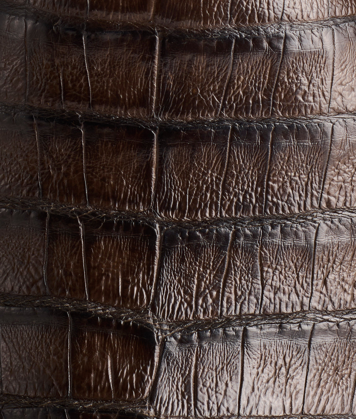 Wilson :: Chocolate 7