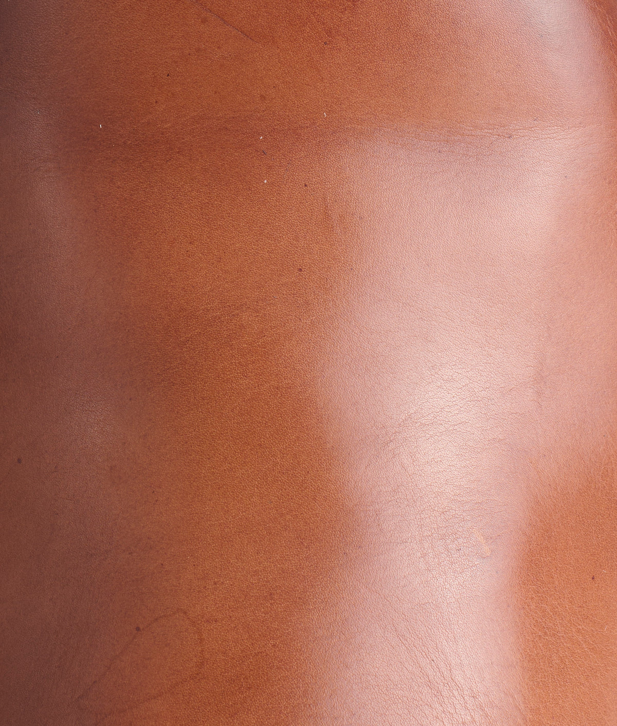 Sumter :: Dark Brown 6