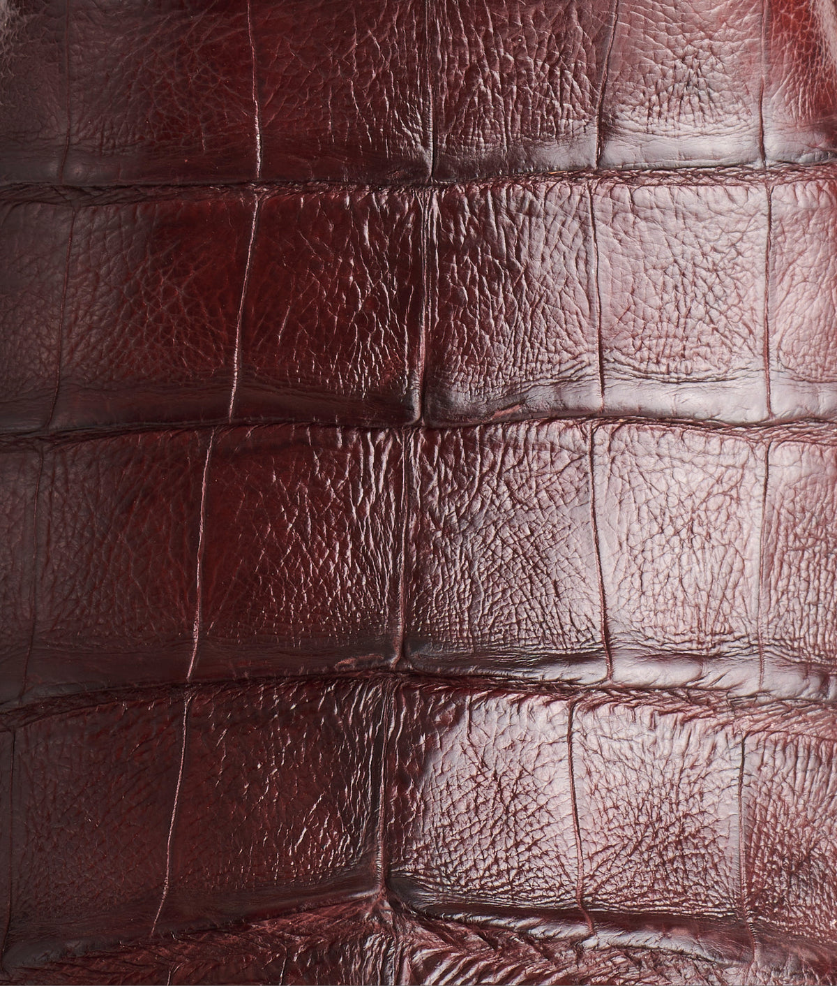 Dale Exotic :: Whiskey/Red 7
