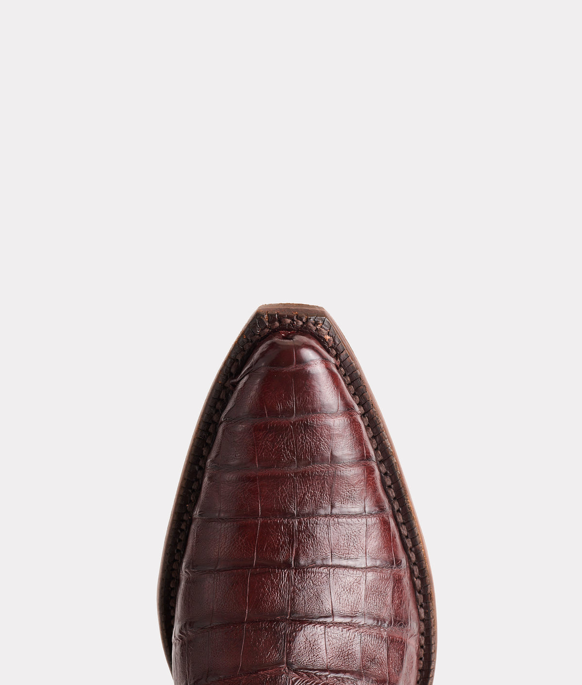 Dale Exotic :: Whiskey/Red 6