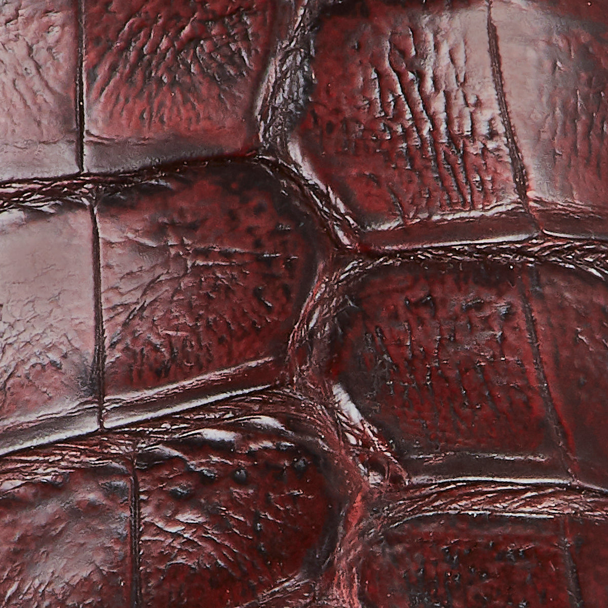 Dale Exotic :: Black Cherry Caiman 8