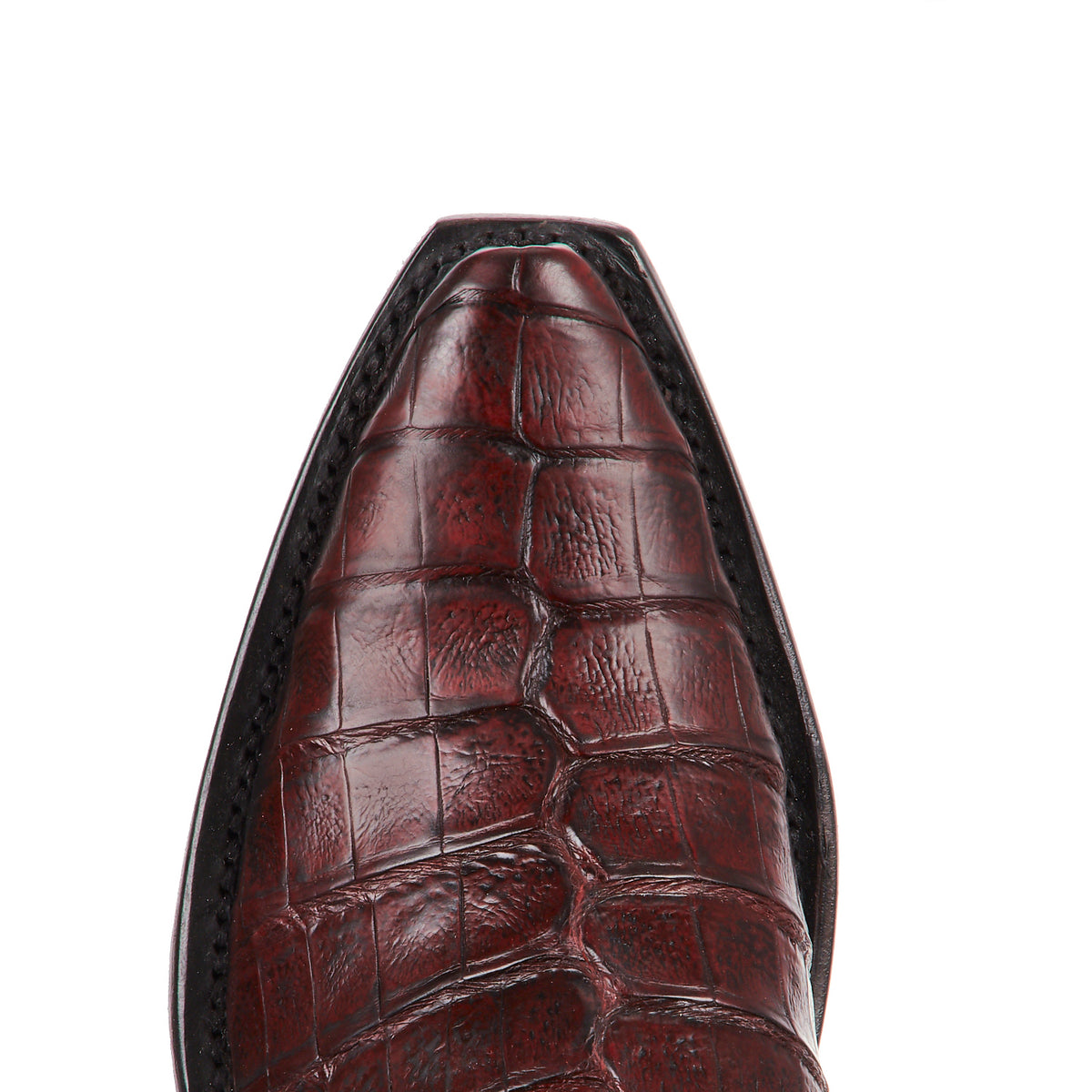 Dale Exotic :: Black Cherry Caiman 2