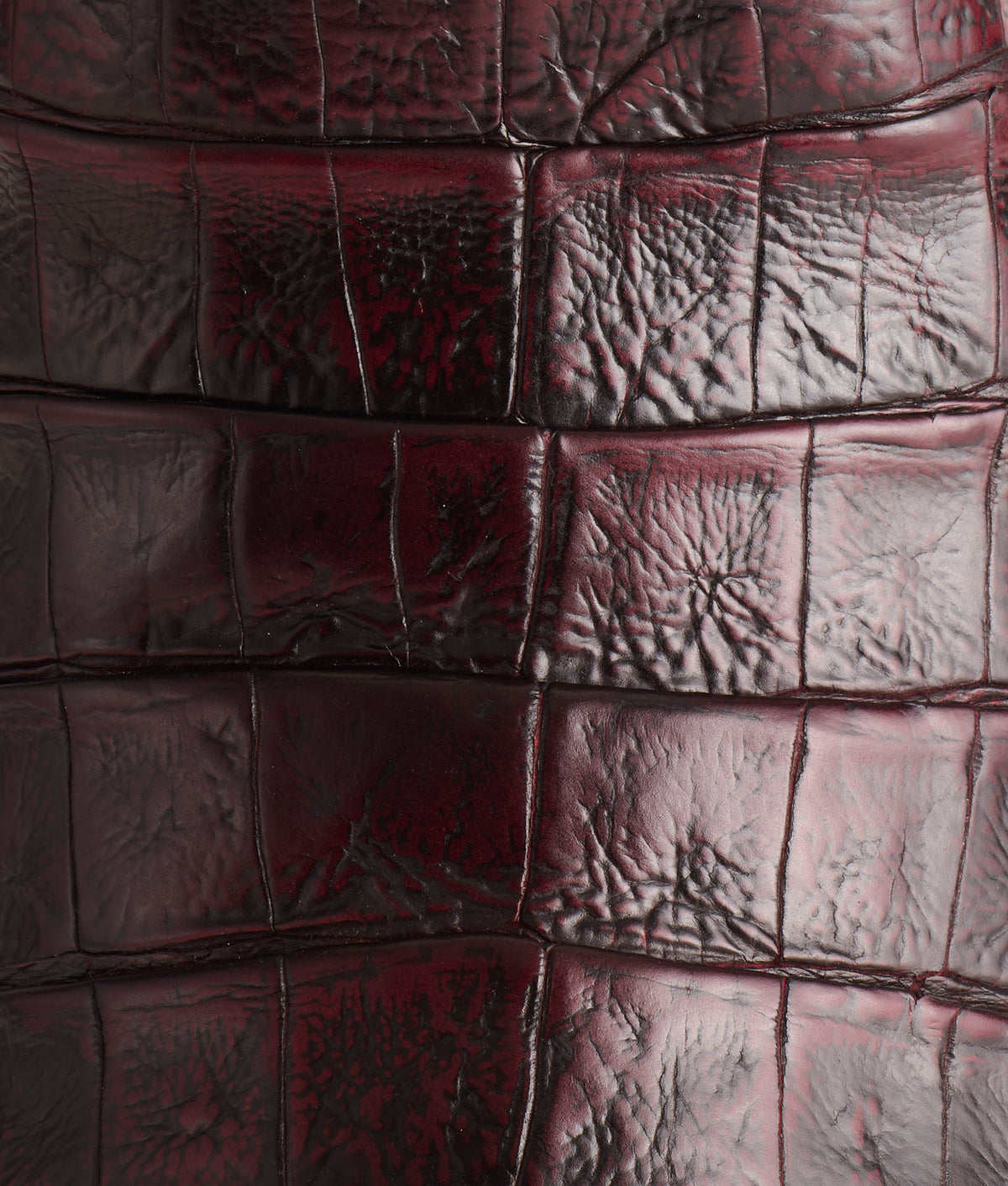 Not Your Darlin' :: Black Cherry 9