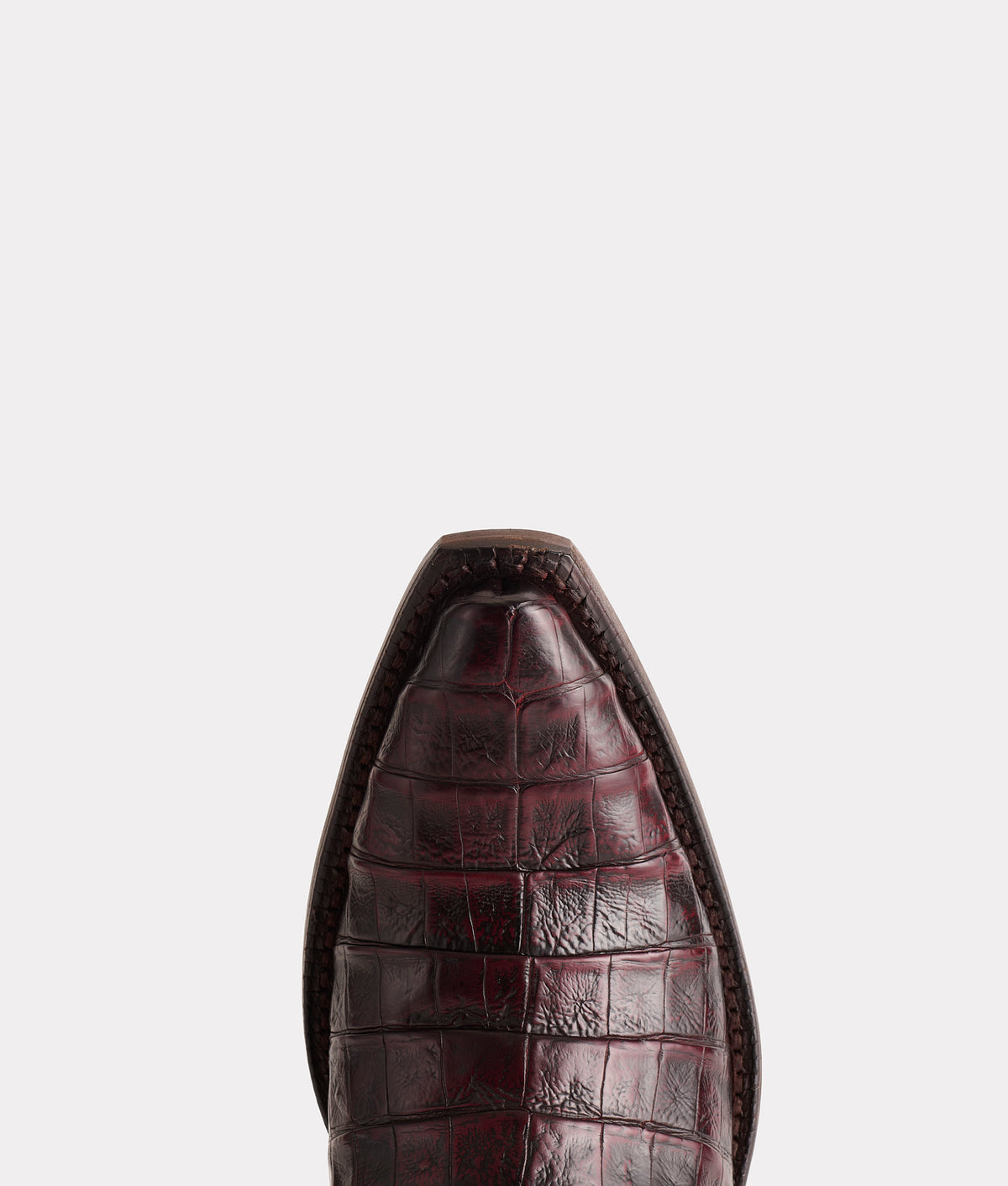 Not Your Darlin' :: Black Cherry 8