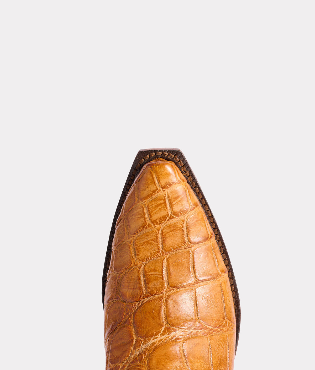 Lady :: Butterscotch 6