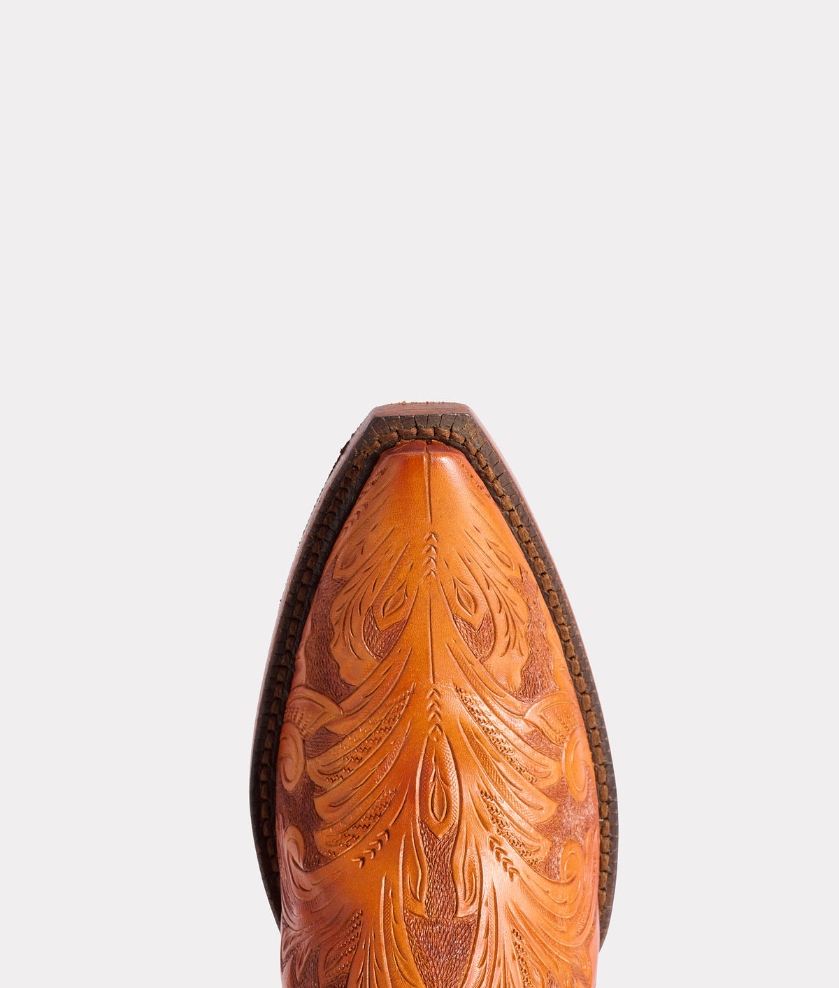 Monarch :: Caramel 7