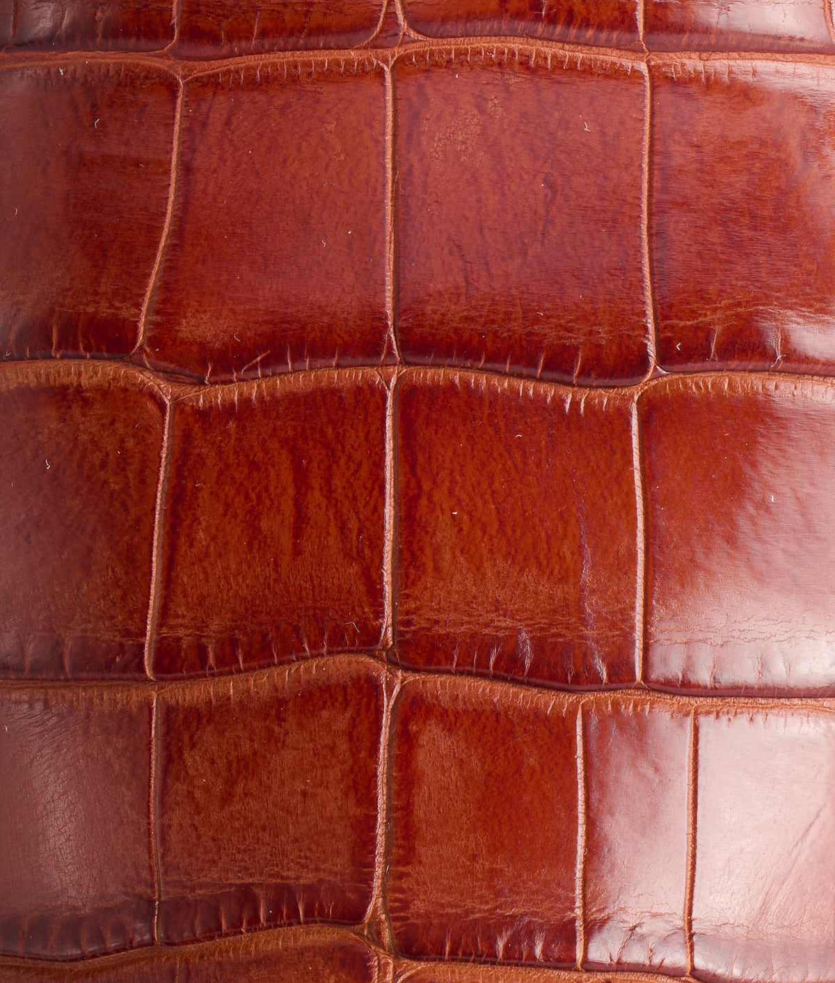 The Varsity :: Cognac 8