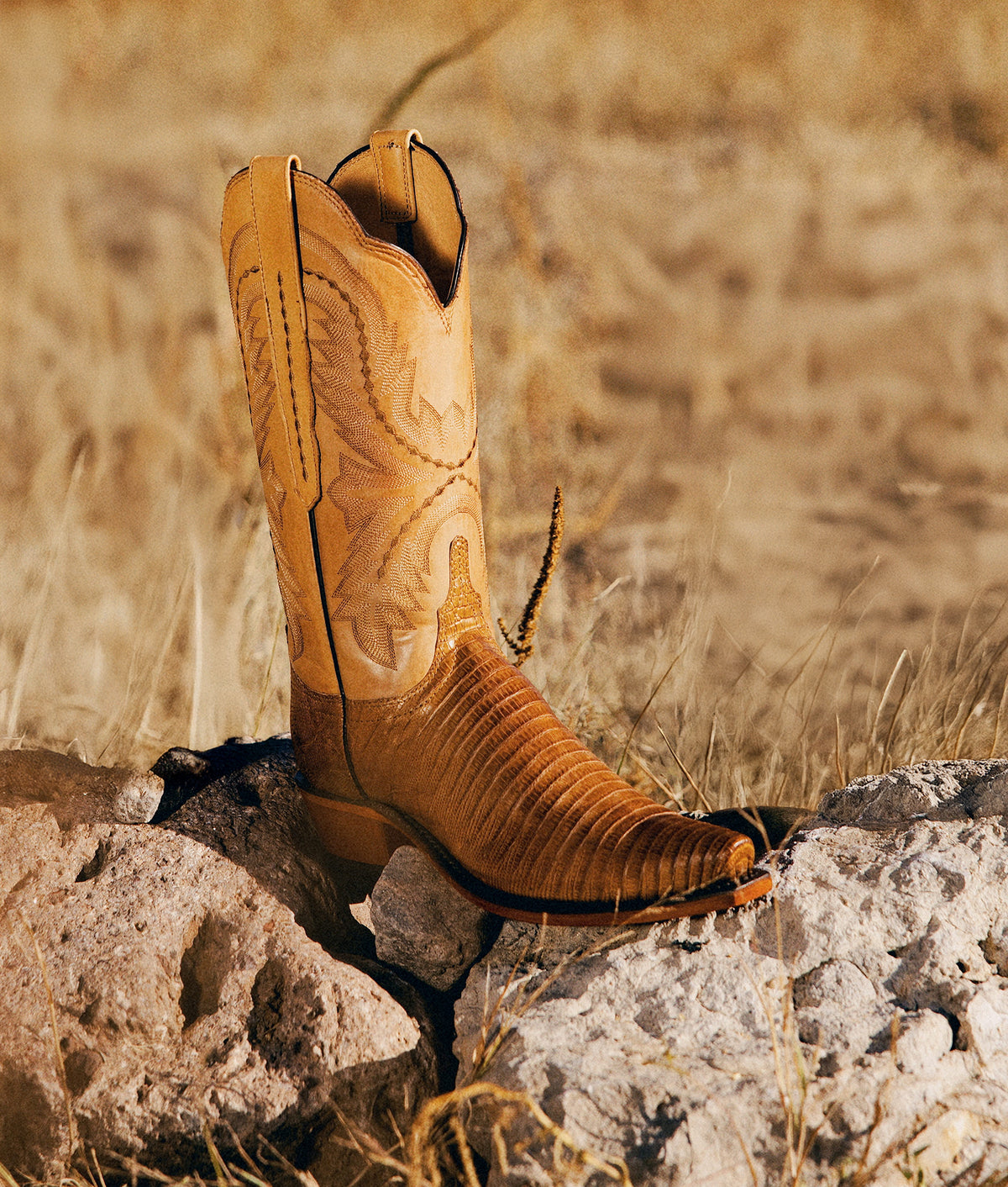 Tilly Exotic :: Tan 9