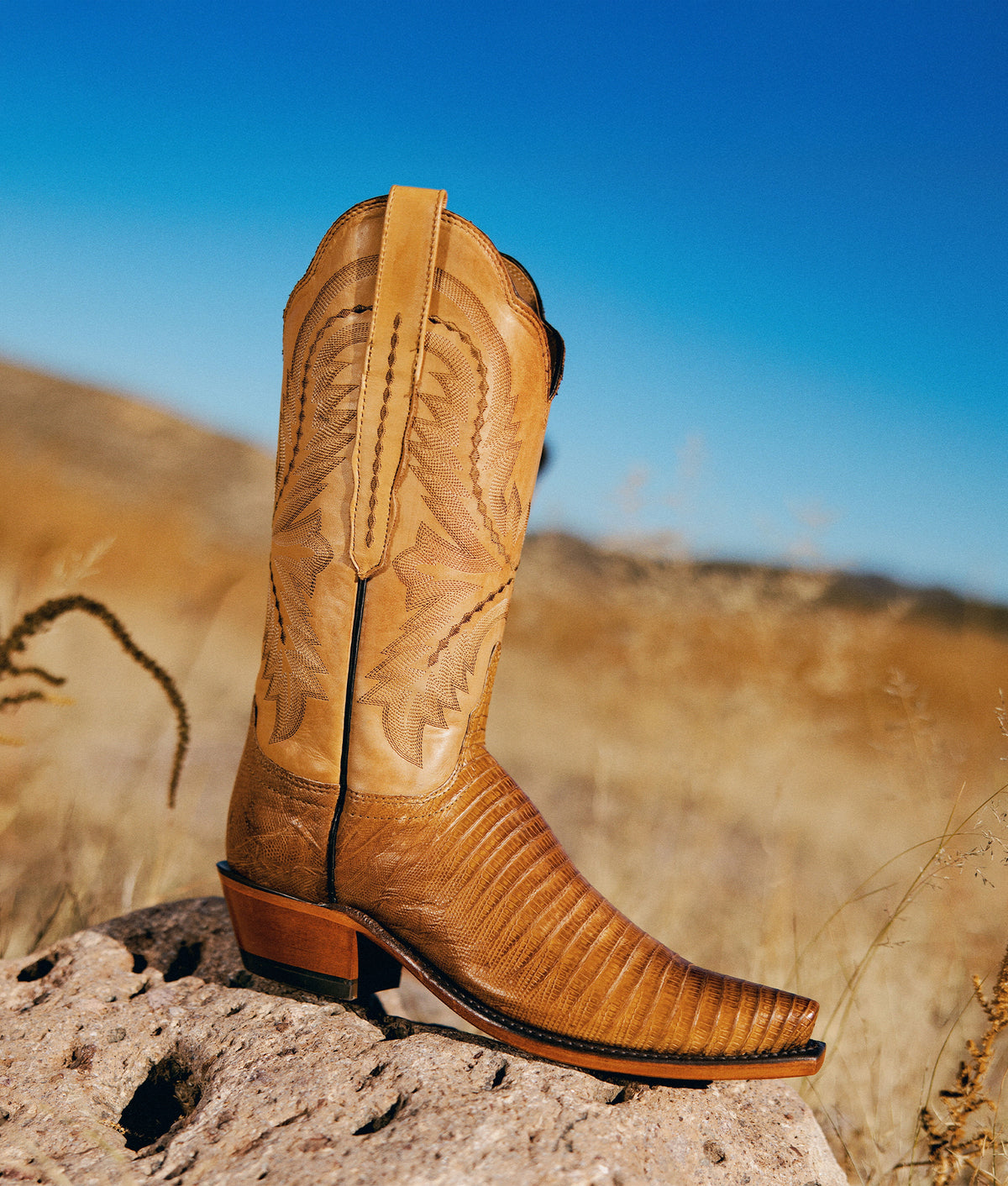 Tilly Exotic :: Tan 3