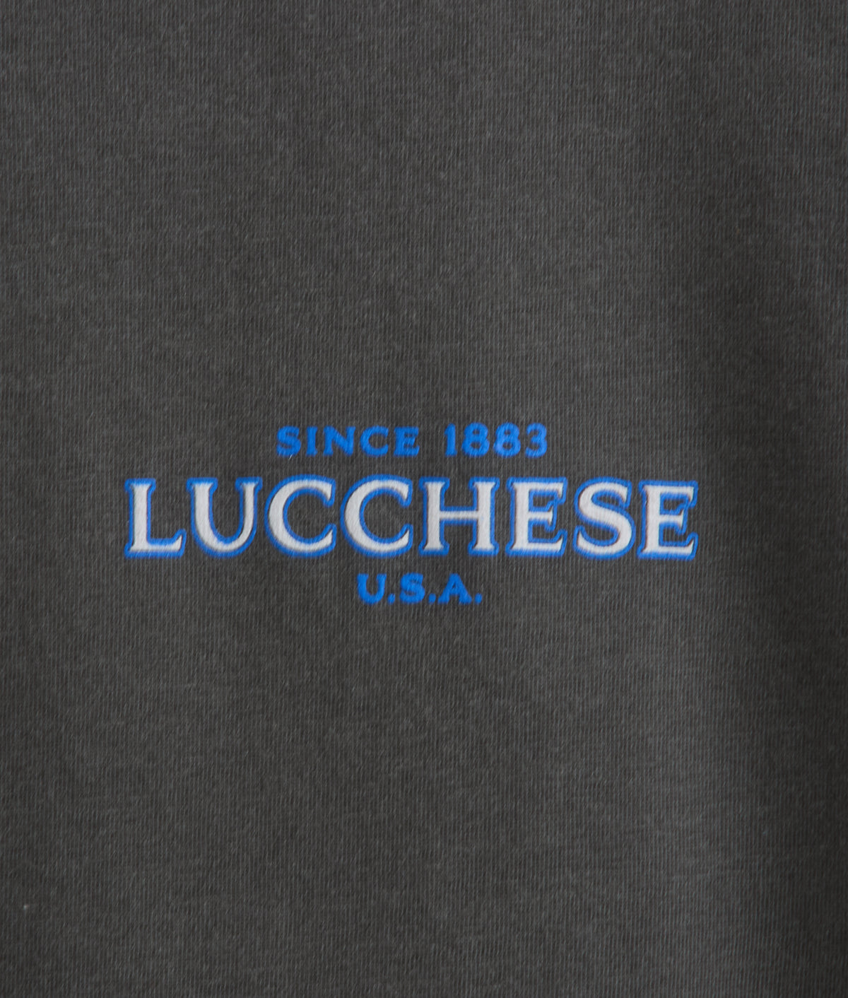 Eagle Flight Tee :: Charcoal 5