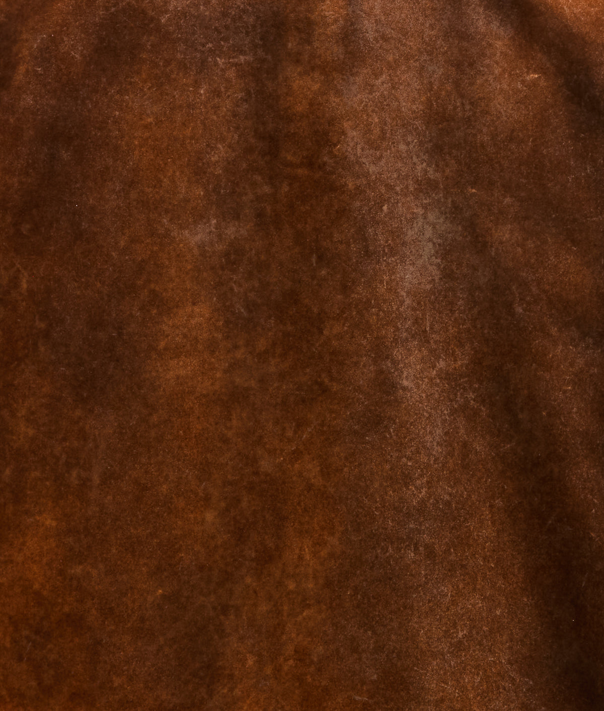 Tennessee Velvet Jacket :: Ginger 10