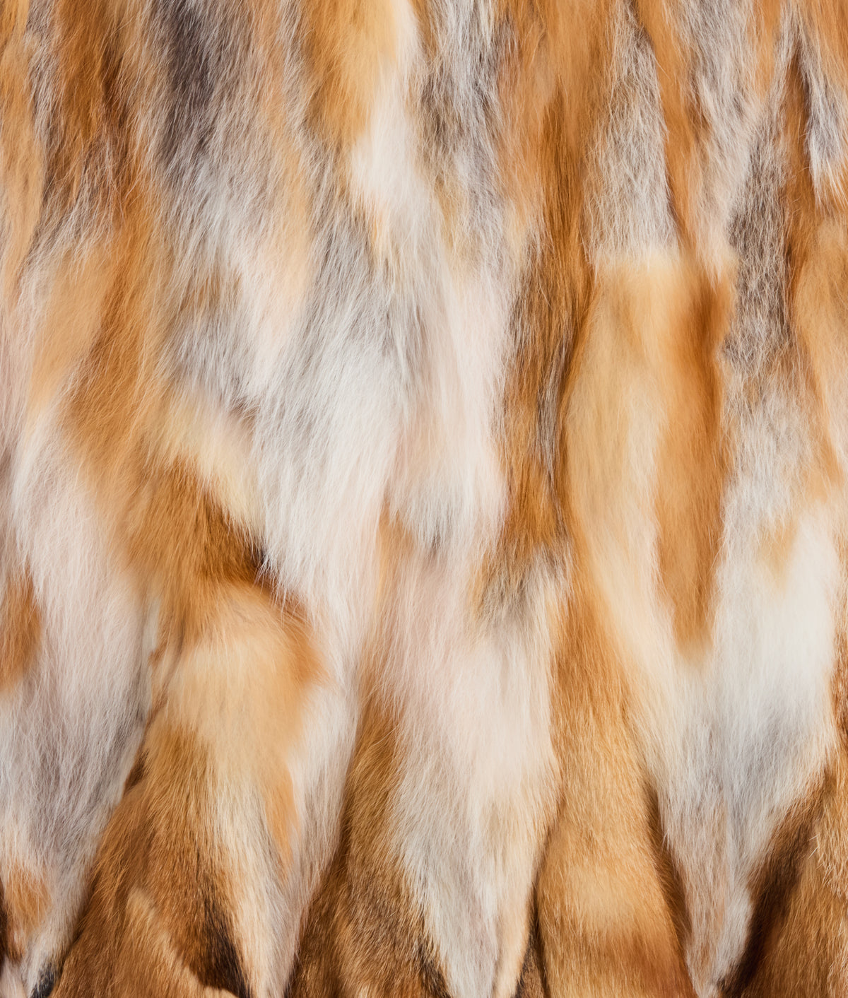Lorelai Red Fox Vest :: Natural 14
