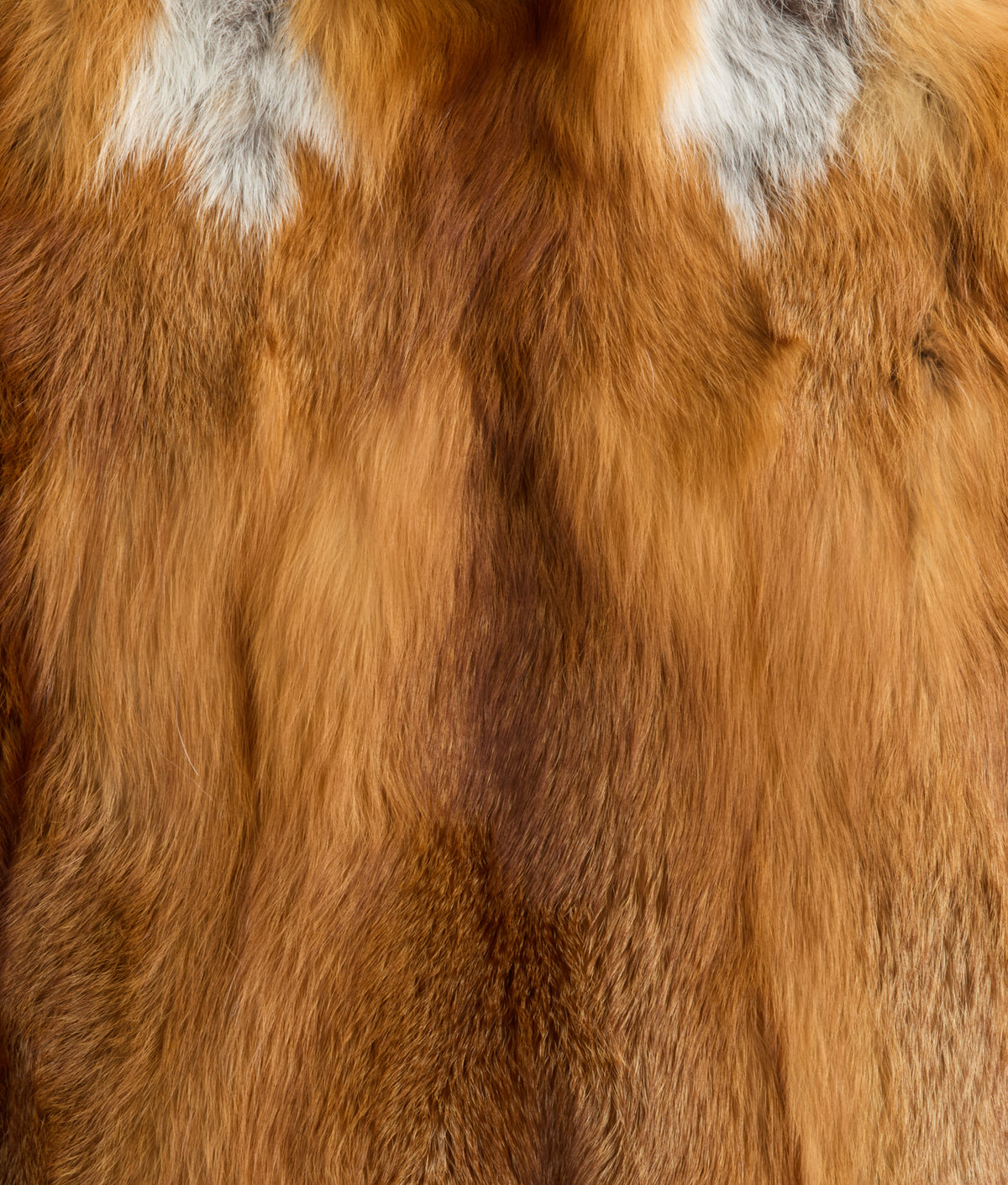 Kerry Red Fox Jacket :: Caramel 7