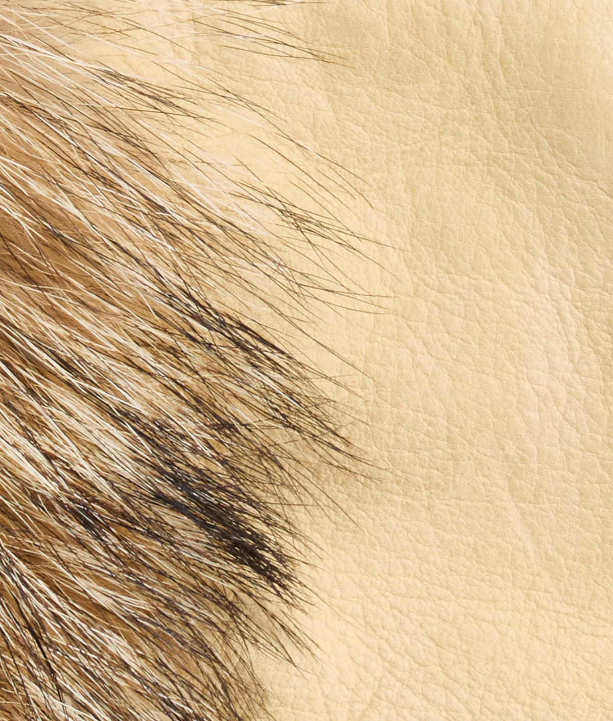 Pelliccia Gloves :: Natural 2