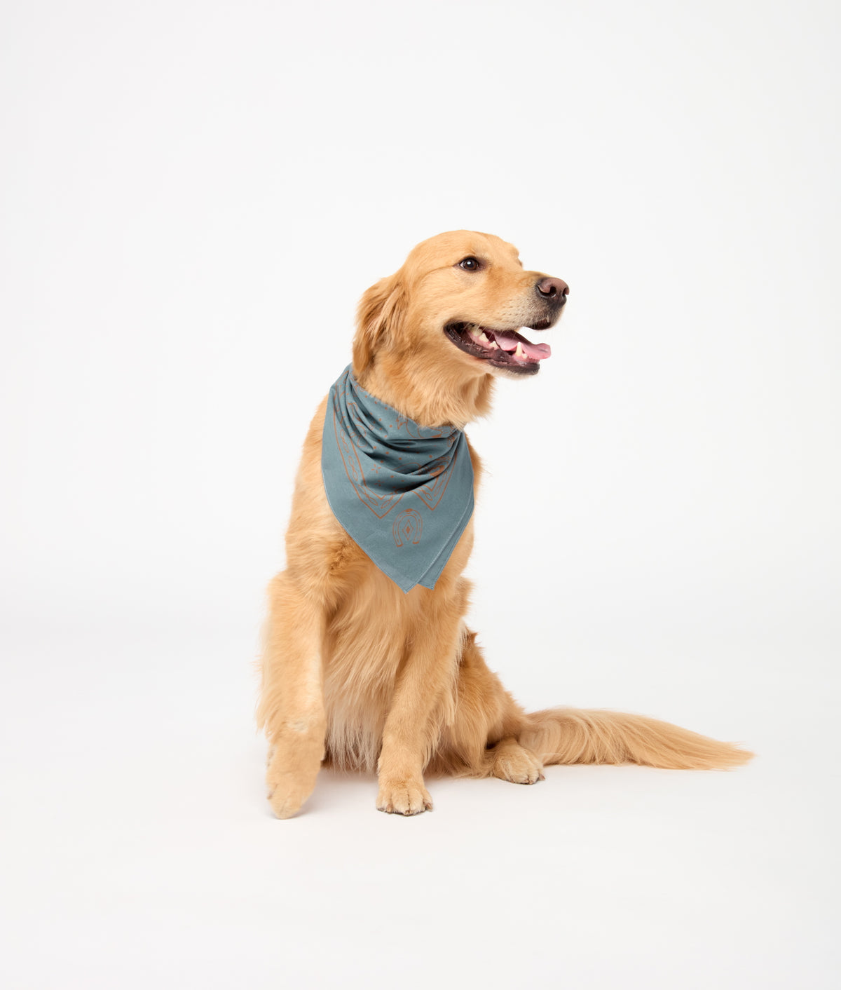 Western Bandana :: French Blue 4