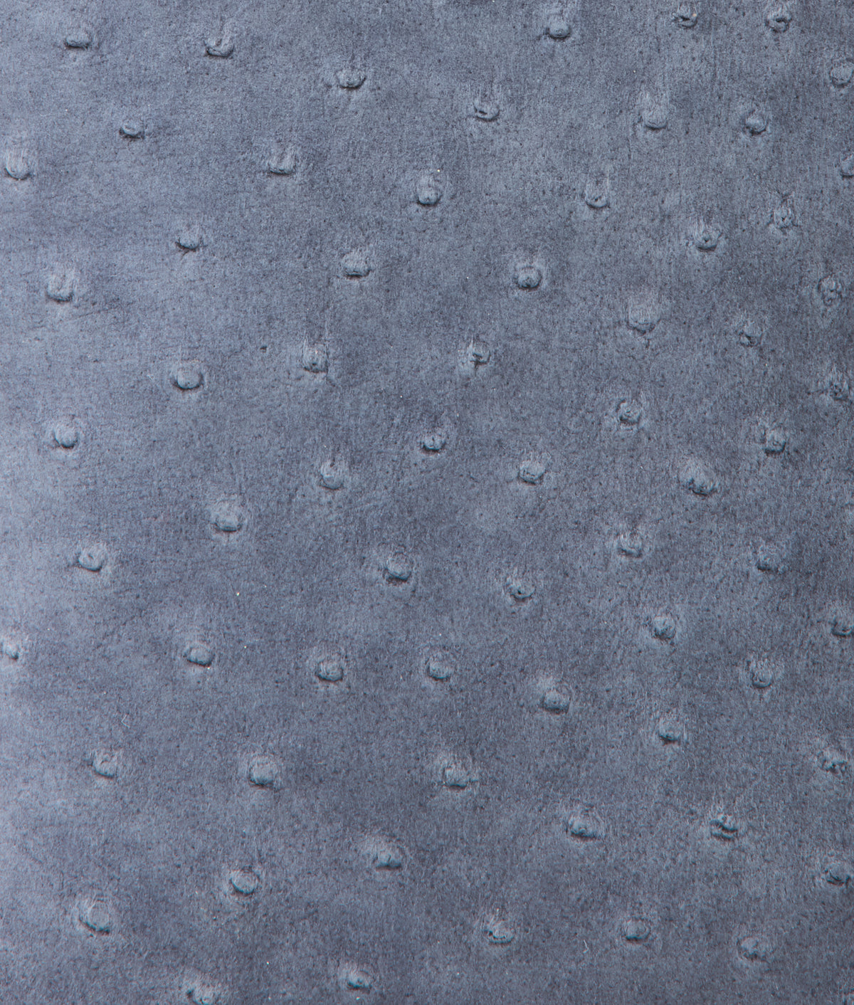 Mini Lola Exotic Shopper :: Storm Blue 9