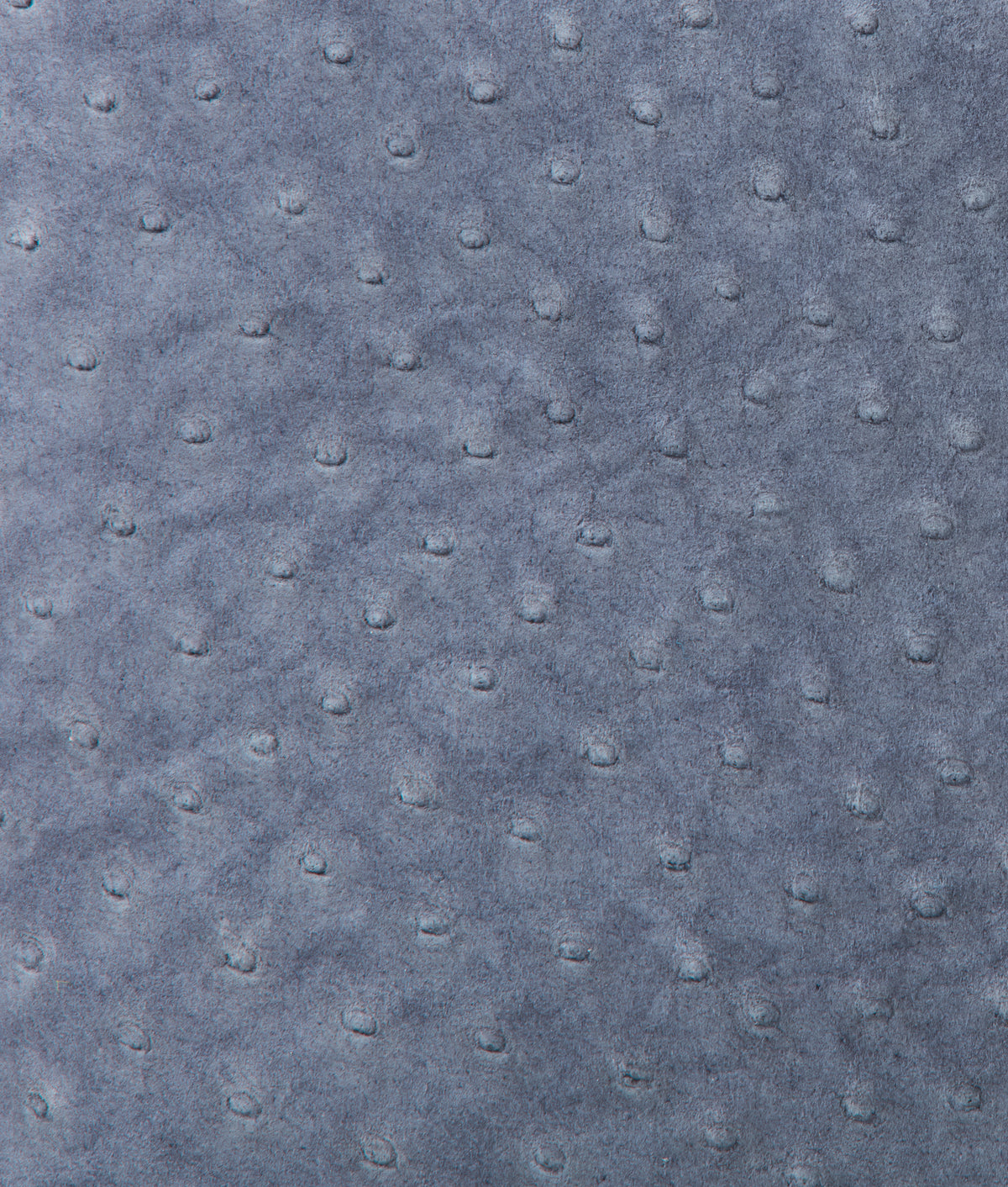 Large Lola Exotic Shopper :: Storm Blue 11