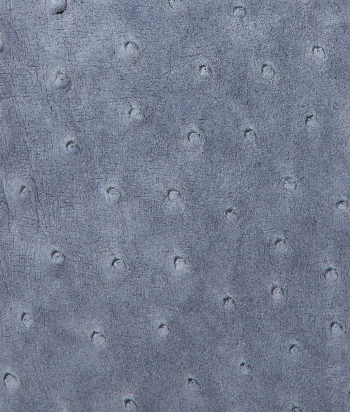 Lauren Exotic Vanity Tote :: Storm Blue 9