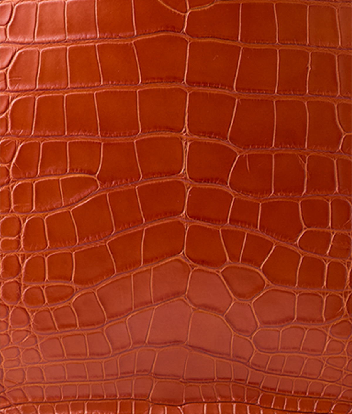 Large Alice Exotic Book Tote :: Honey 8