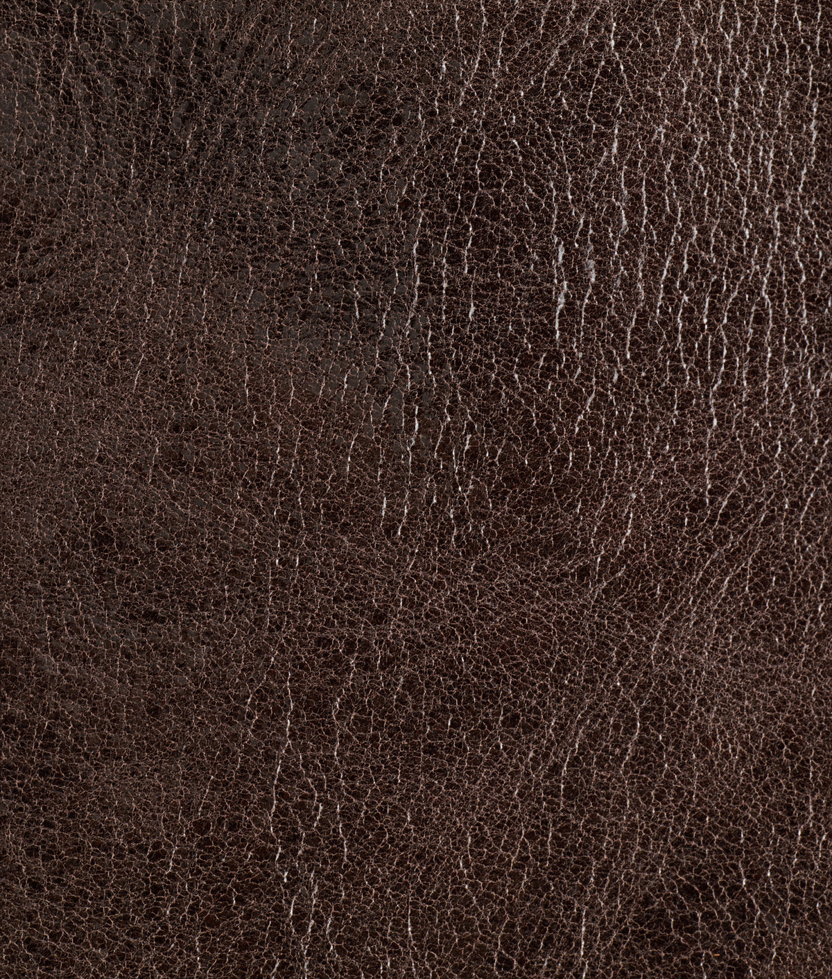 Savannah Tote :: Chocolate 9