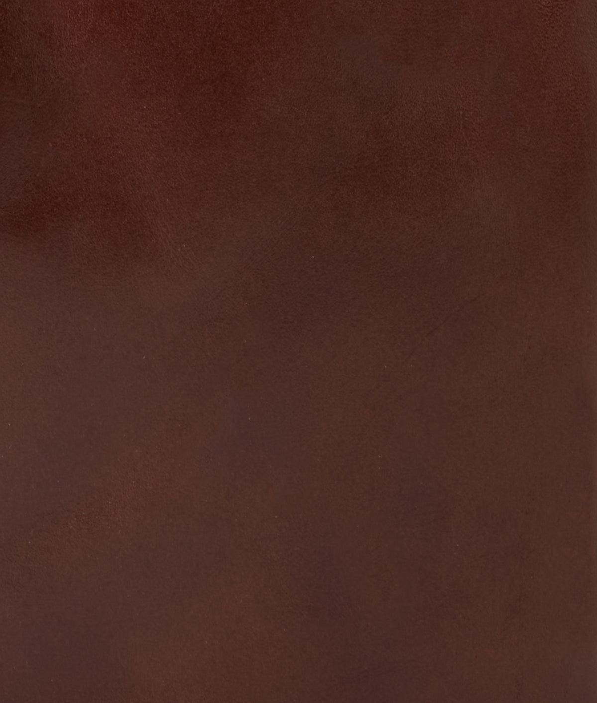 Everyday Backpack :: Brown 10