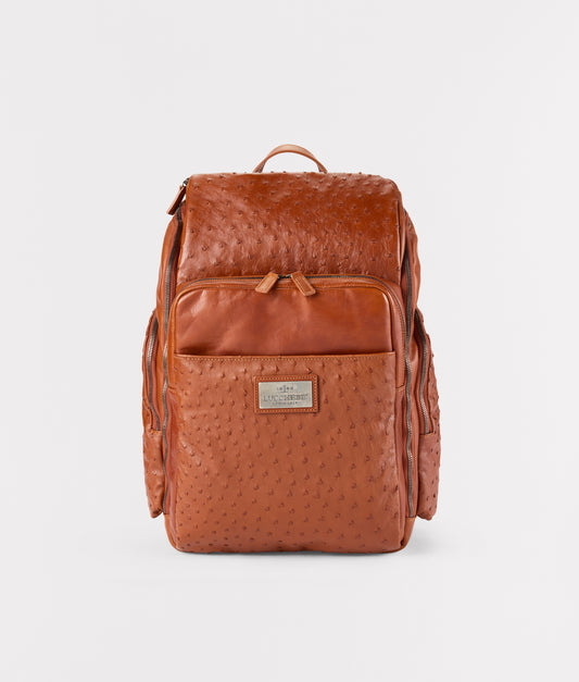 Exotic Cosimo Backpack :: Barnwood