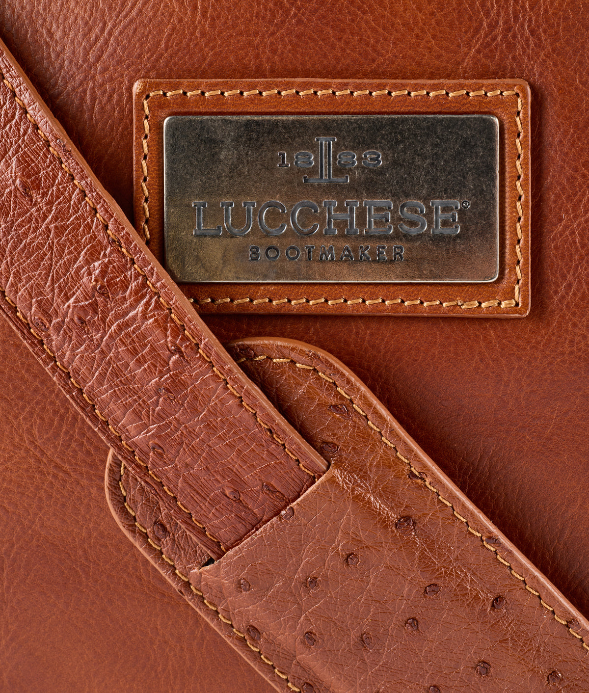 Exotic Cosimo Weekend :: Brown 6