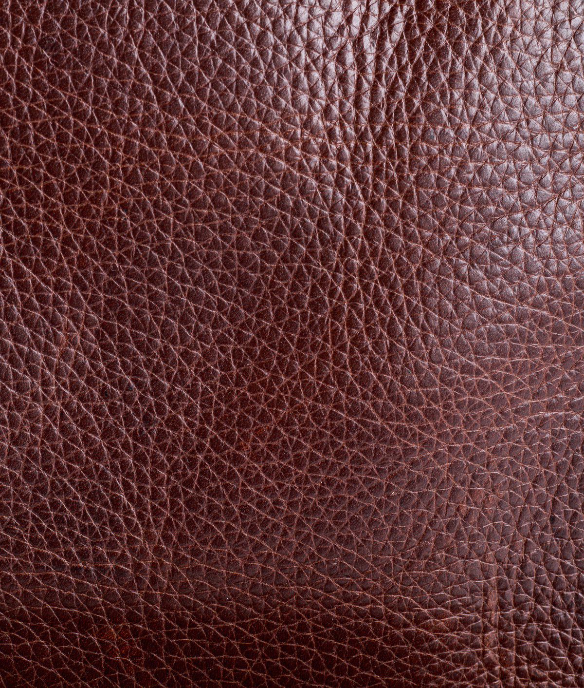 Heritage Backpack :: Brown 12