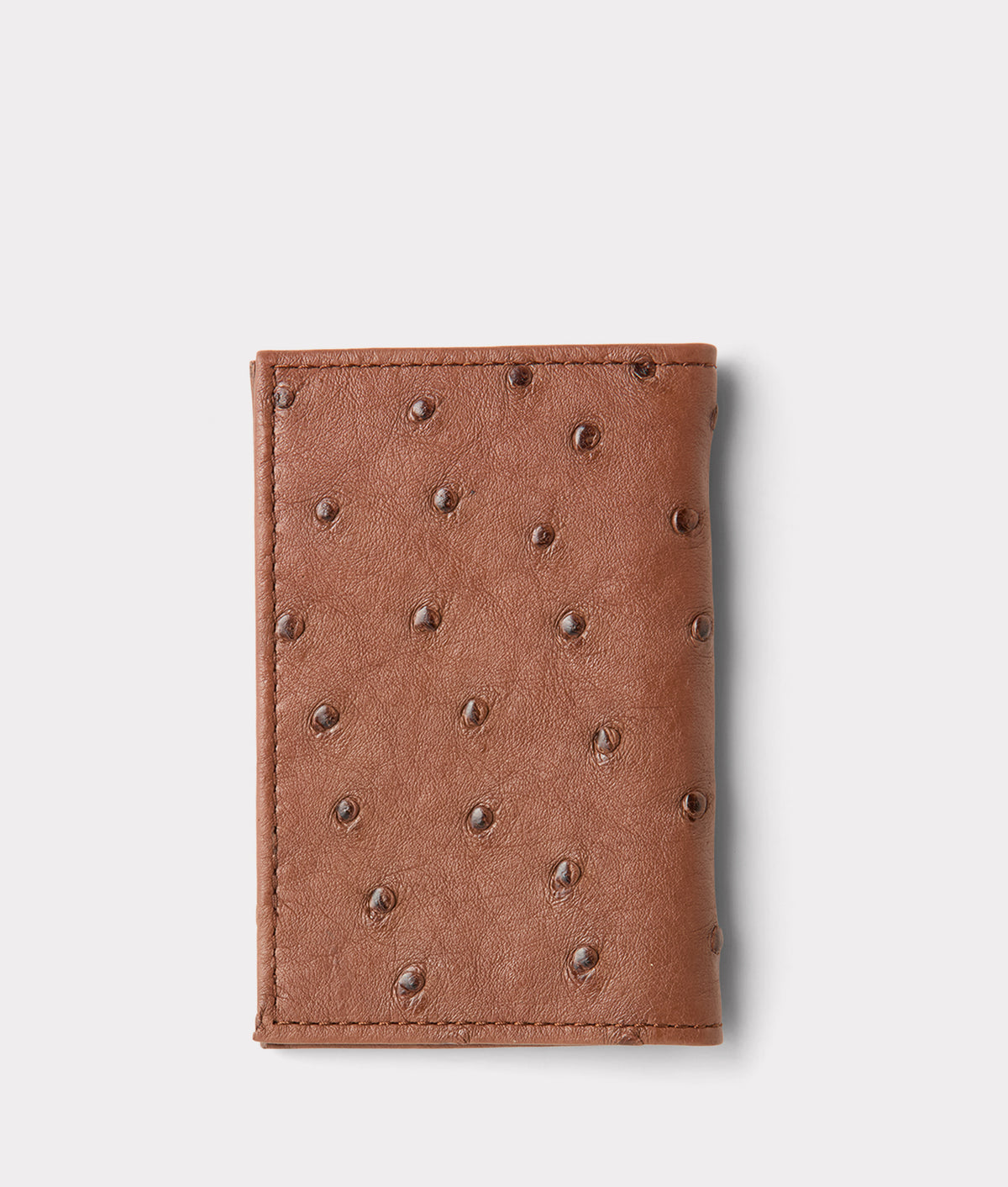 Bifold Wallet – Ostrich :: Sienna 3