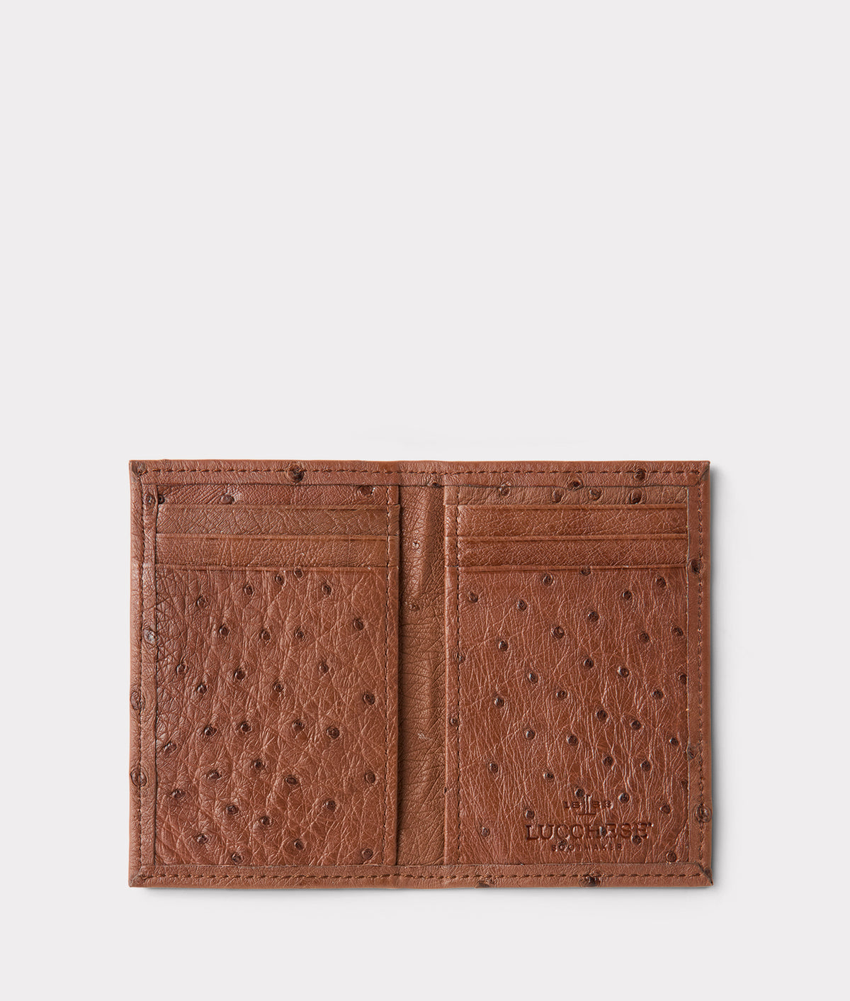 Bifold Wallet – Ostrich :: Sienna 2