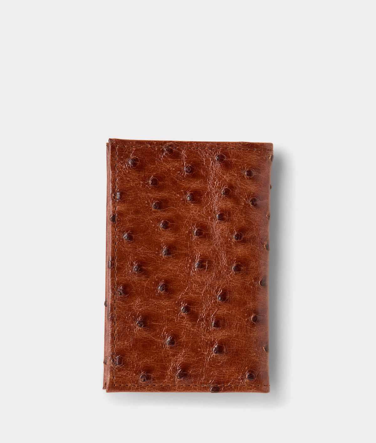 Bifold Wallet – Ostrich :: Cognac 3