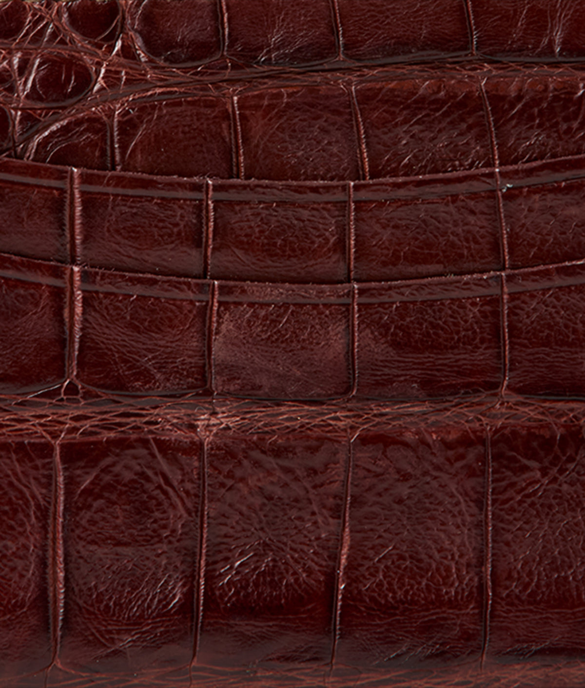 Credit Card Case – Crocodile :: Sienna 3
