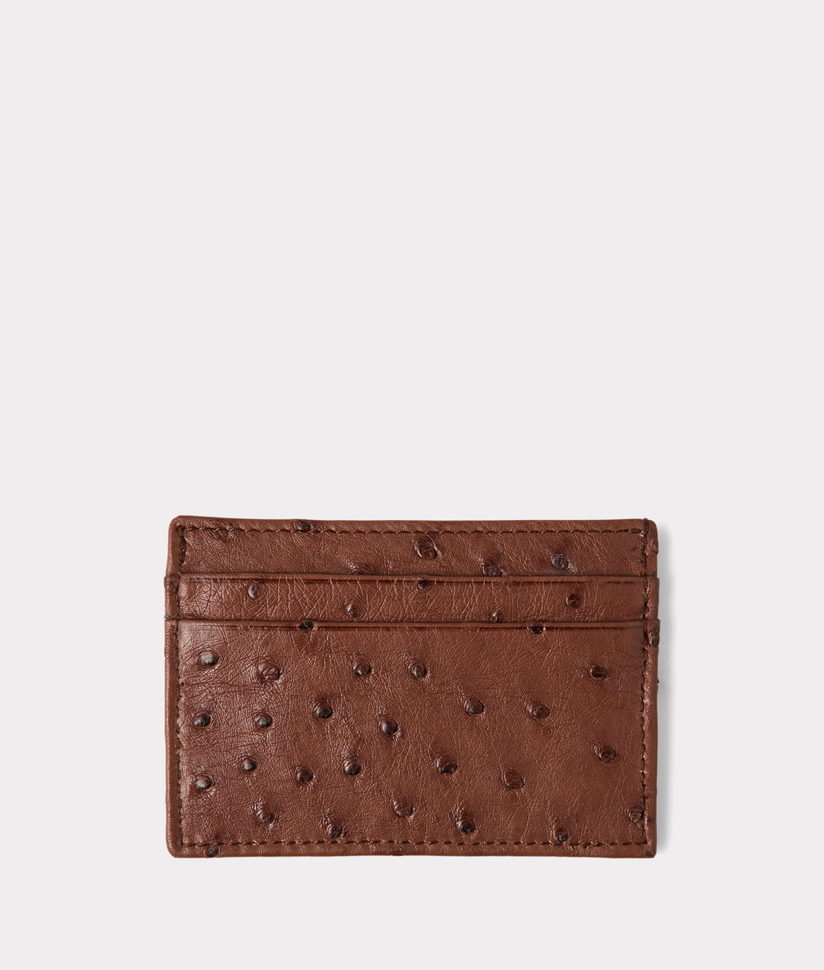 Credit Card Case – Ostrich :: Sienna 2