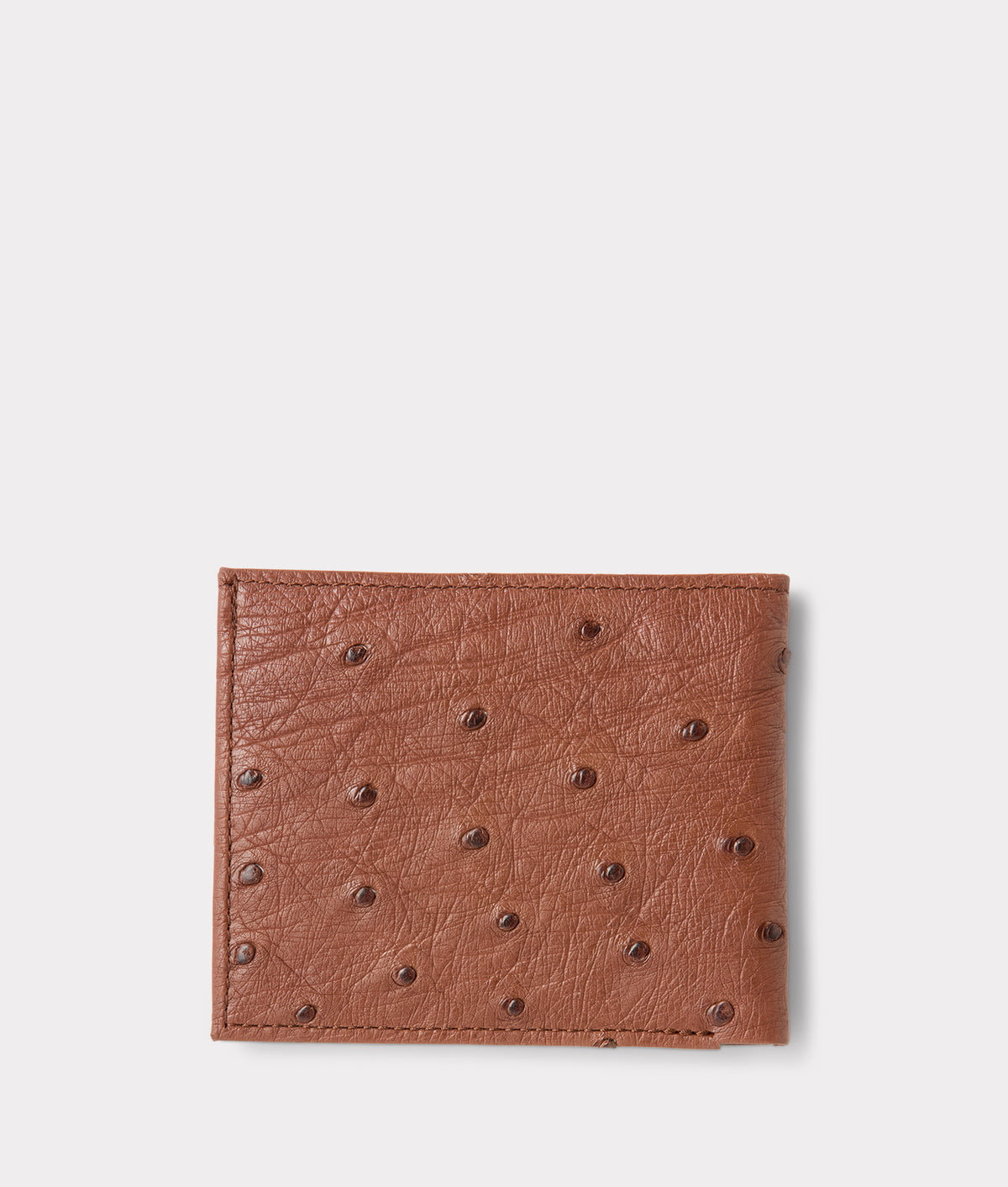 Hipster Wallet – Ostrich :: Sienna 2
