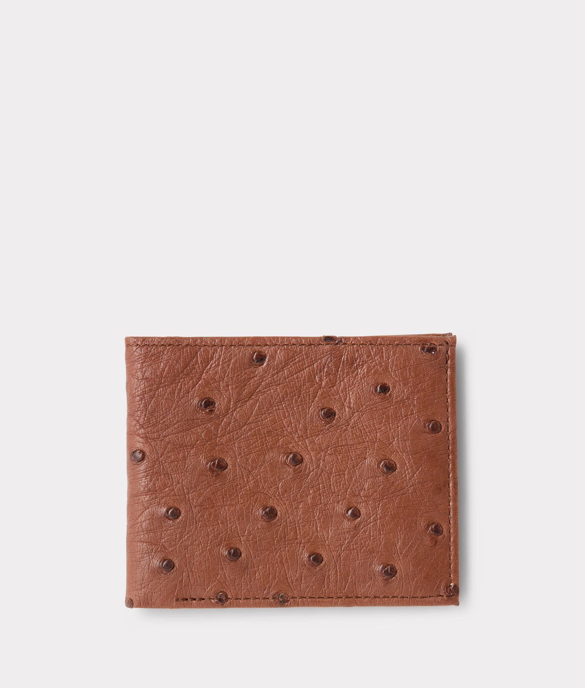 Hipster Wallet – Ostrich :: Sienna 1