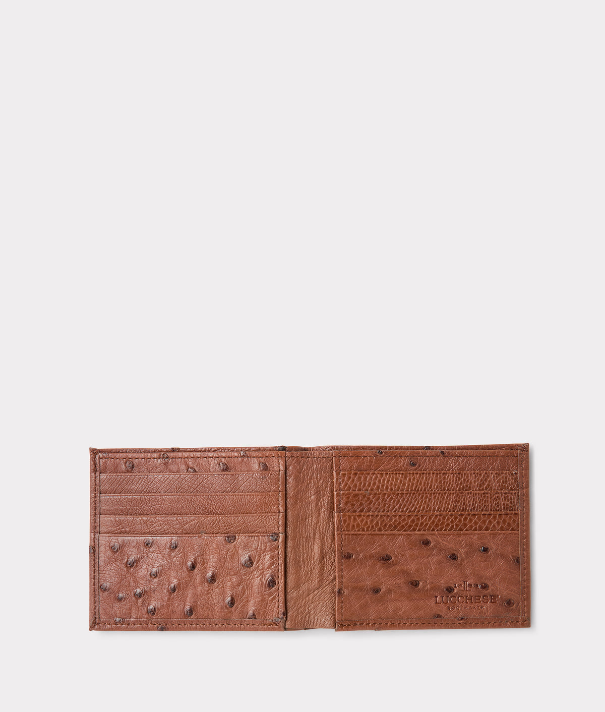 Hipster Wallet – Ostrich :: Sienna 3